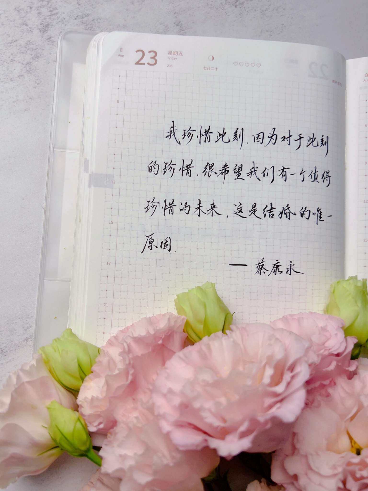 自在手帐2024年8月23日