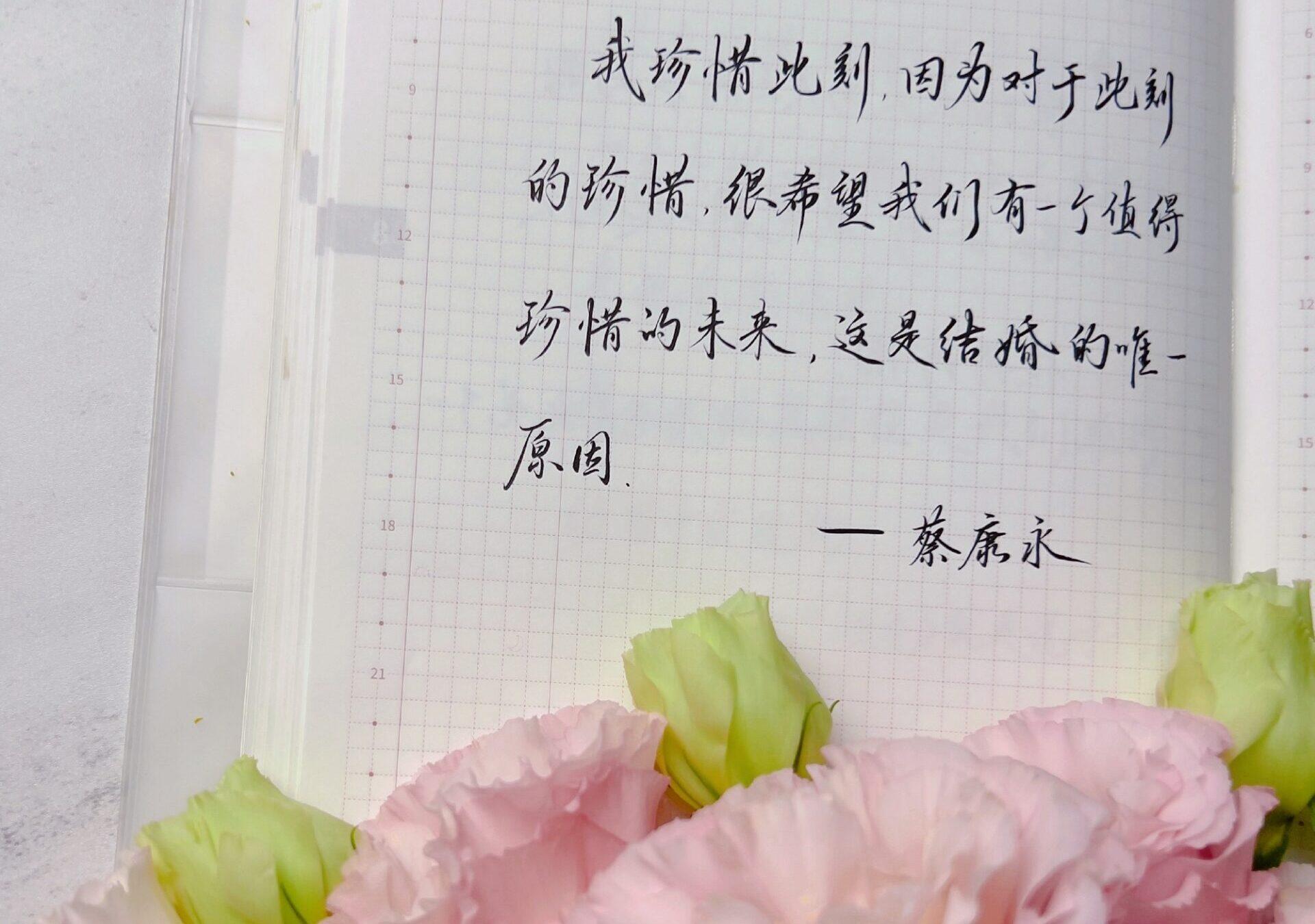 感性主导一切，理性不过是它的辩解！✨