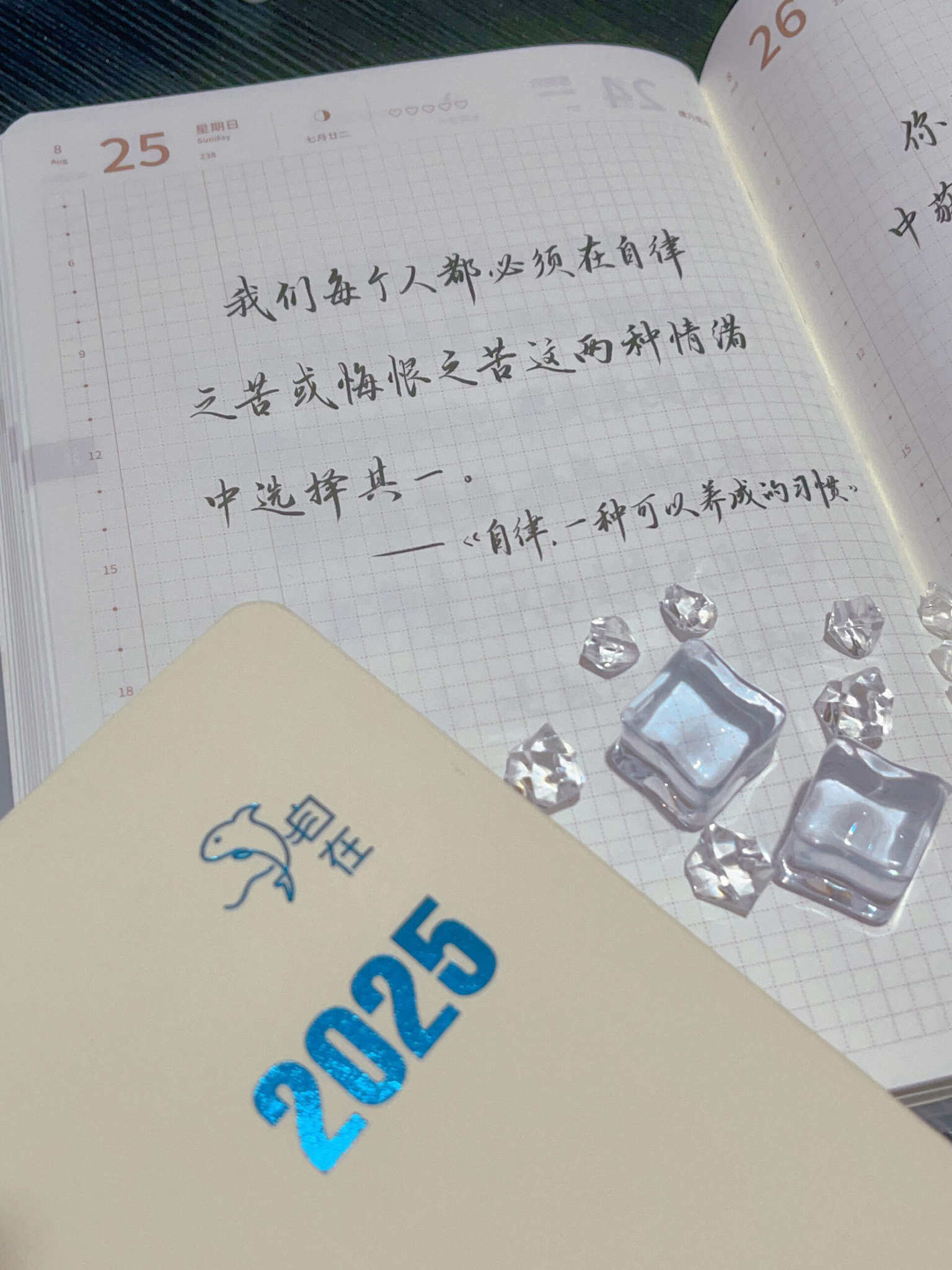 自在手帐2024年8月25日