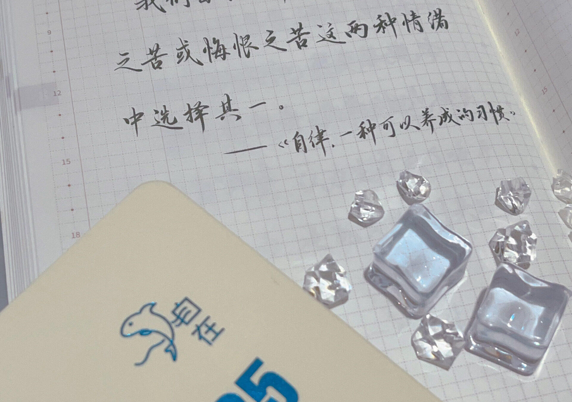 自律的苦和悔恨的痛，哪个更难承受？😣⚖