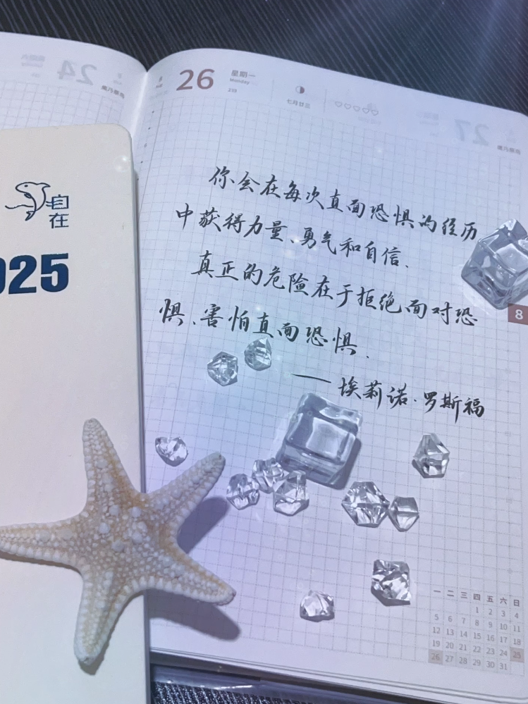 自在手帐2024年8月26日