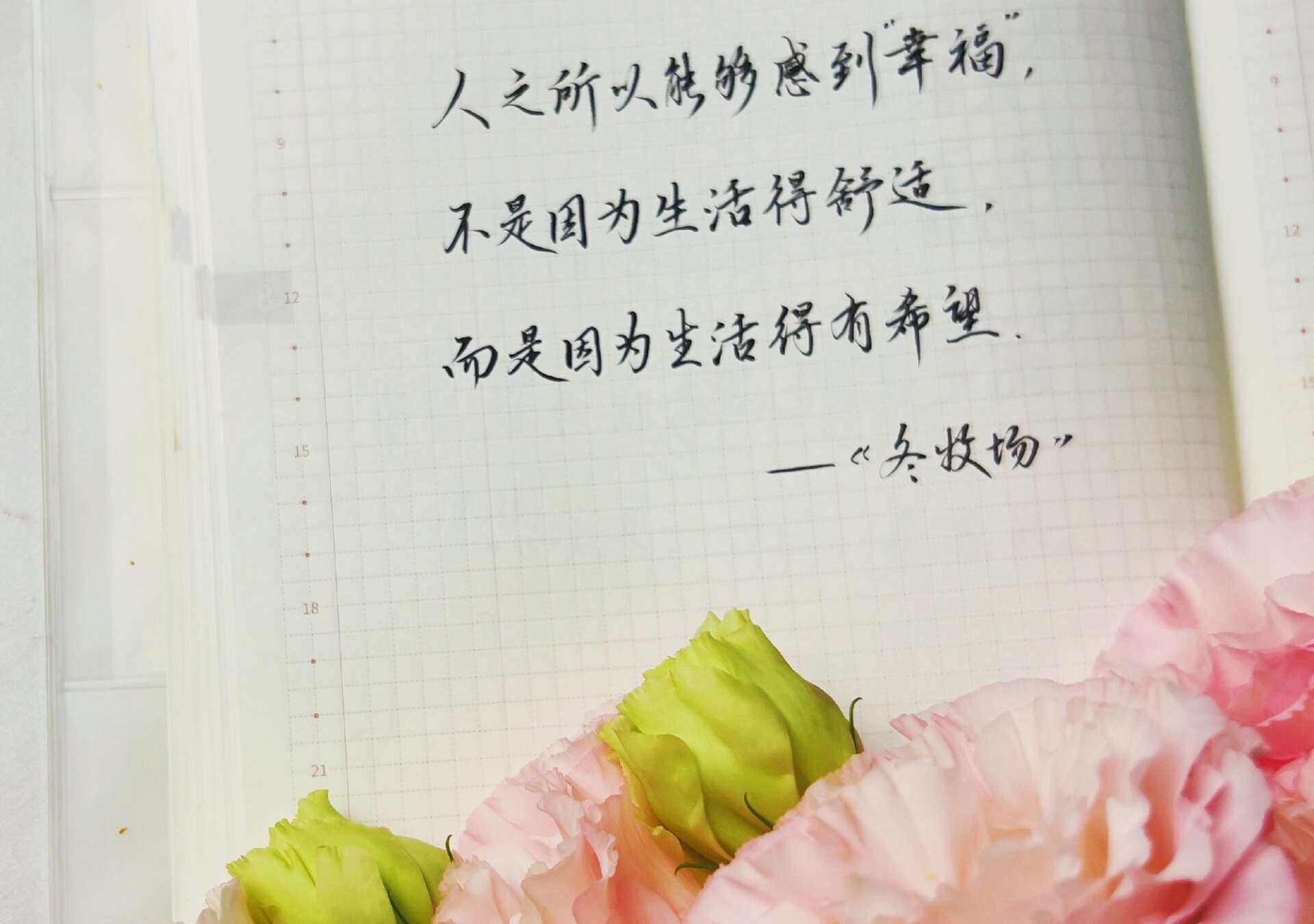 生活的希望，才是幸福的源泉！舒适只是表象！🌅