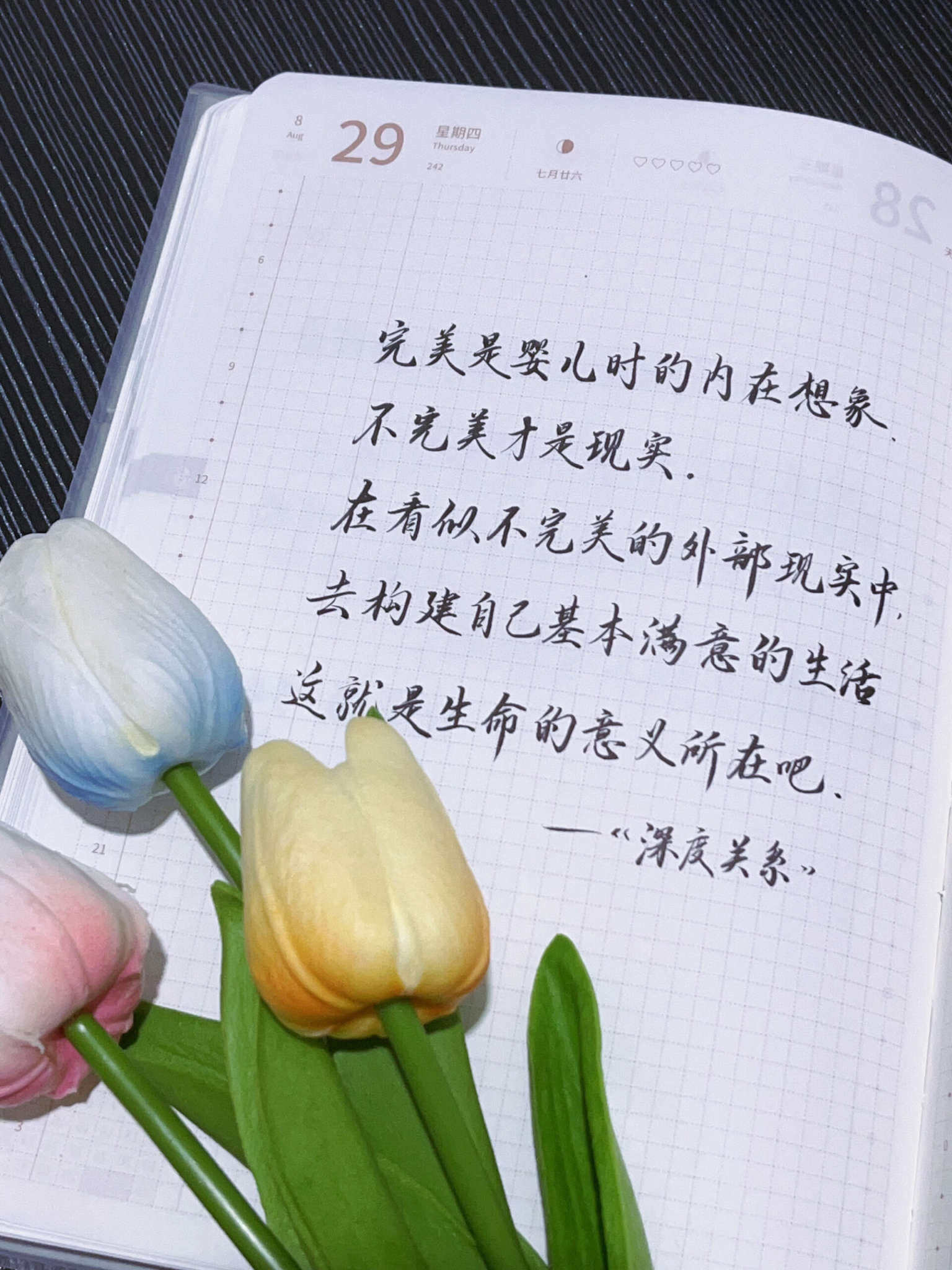 自在手帐2024年8月29日