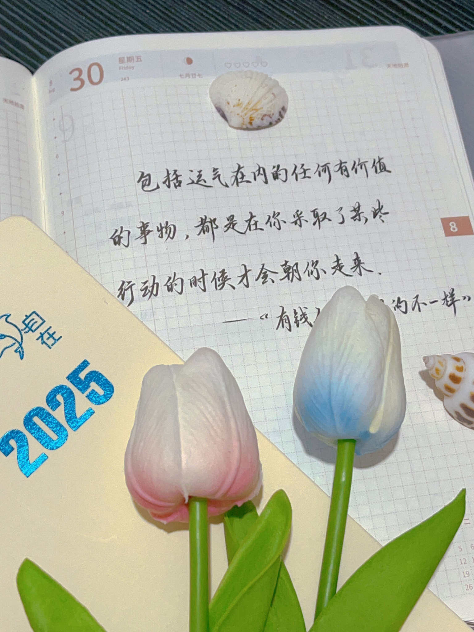 自在手帐2024年8月30日
