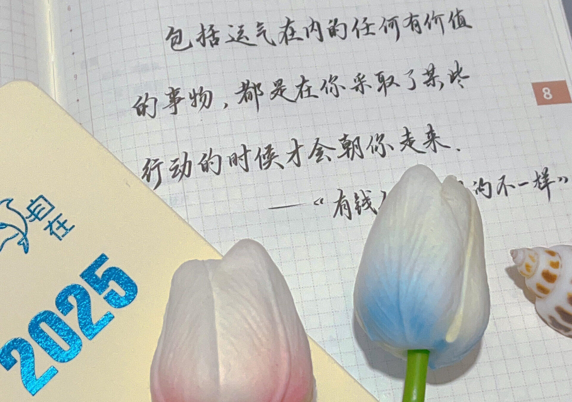 先行动，后收获！好运和成功都在路上！🚶‍♂💫