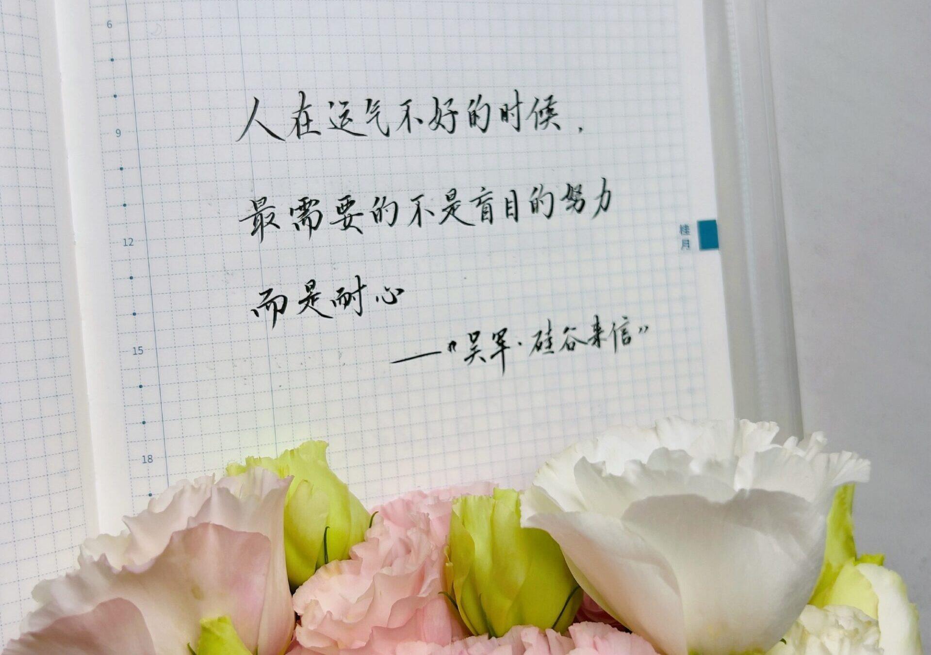 逆境中保持耐心，才是成功的智慧！🌱🎯