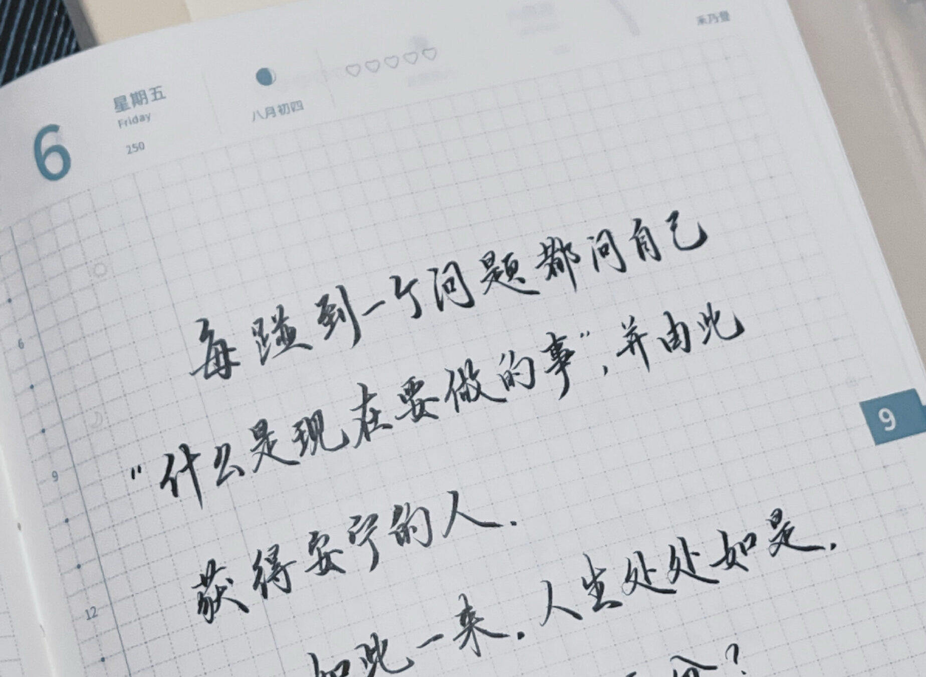 顺境逆境？都不重要，重要的是你做对的事！💡