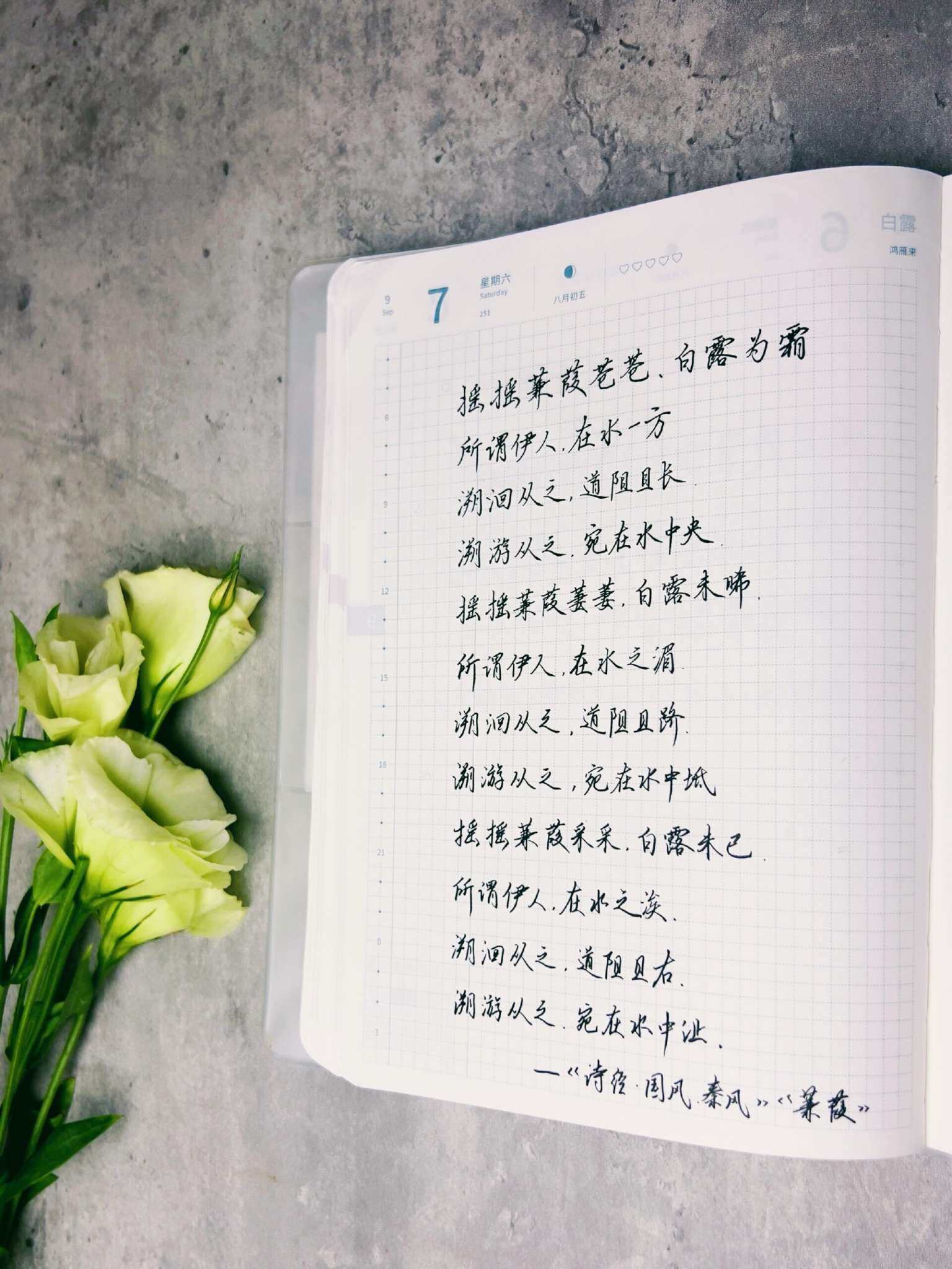 自在手帐2024年9月7日