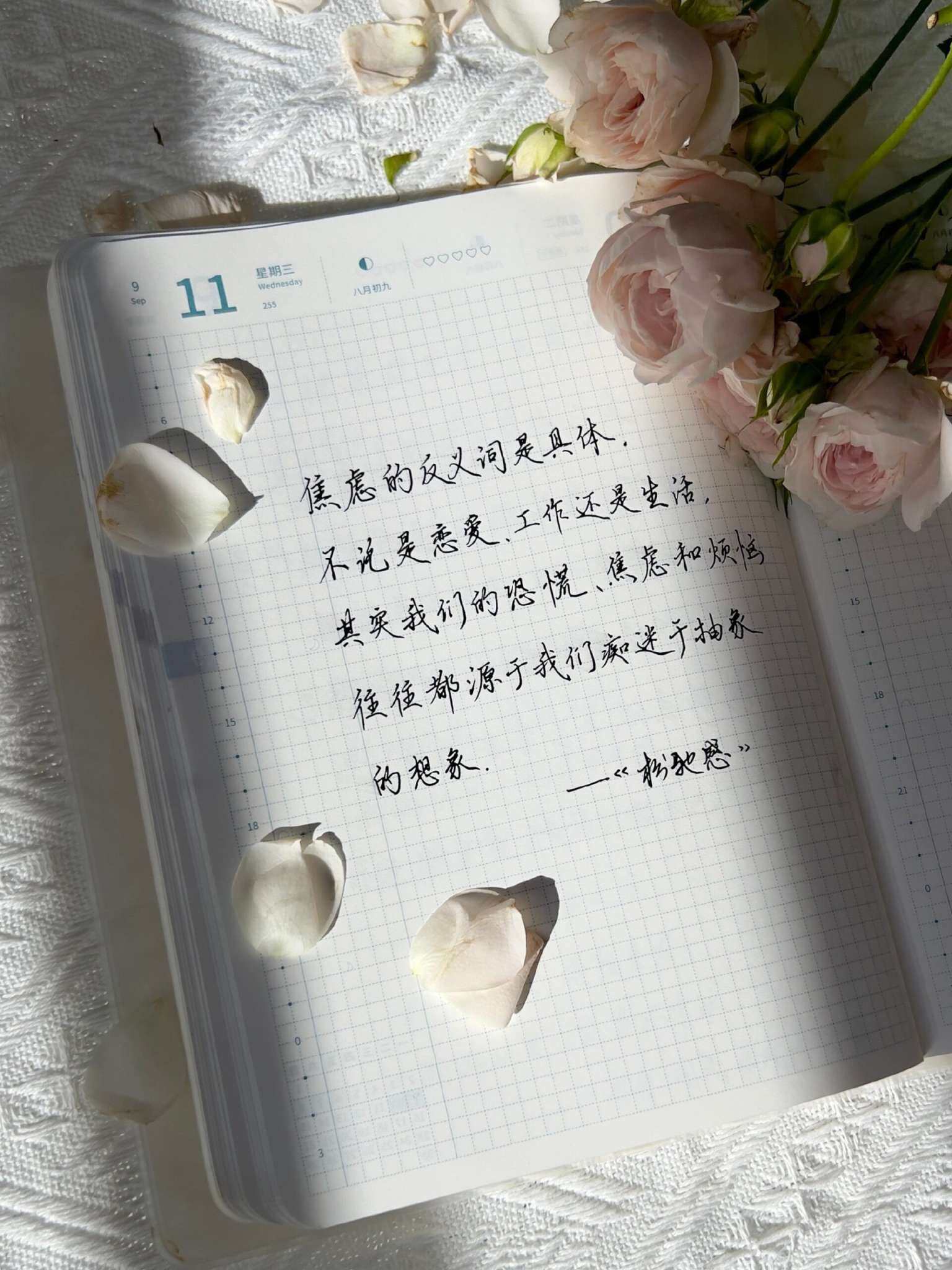 自在手帐2024年9月11日