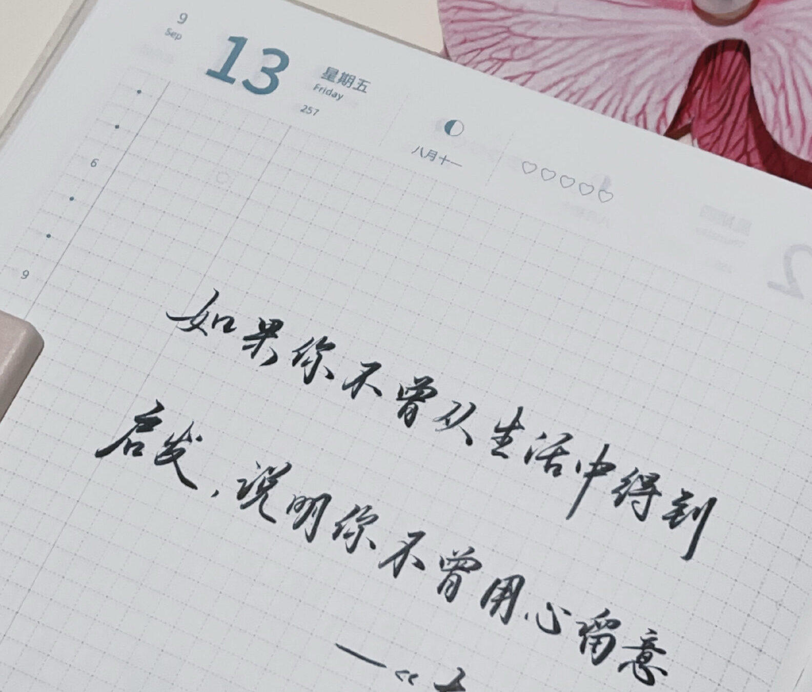 启发源于用心观察，生活处处有灵感！🌿💭