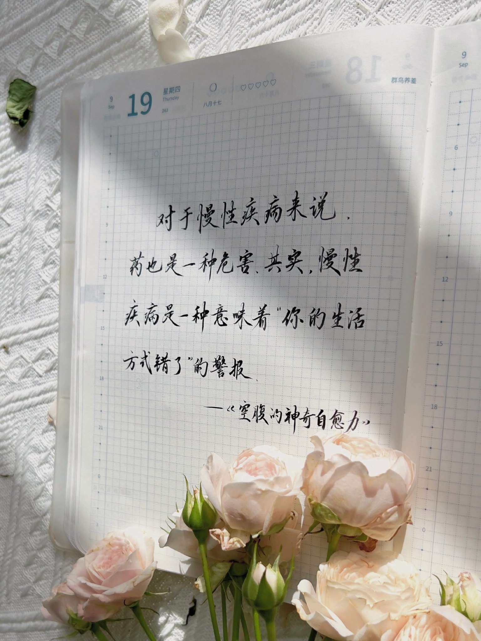 自在手帐2024年9月19日