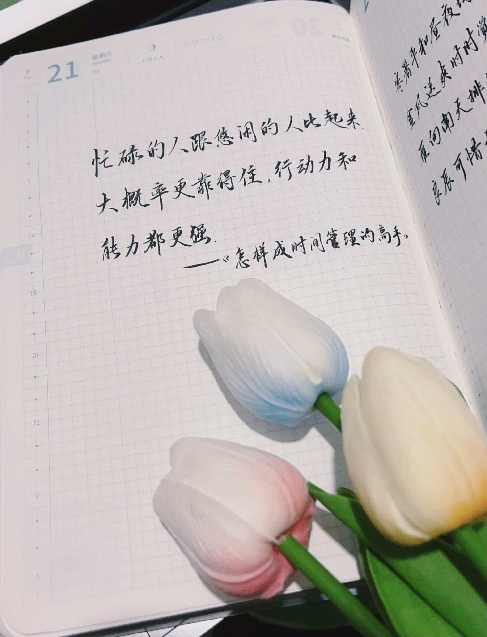 自在手帐202·4年9月21日