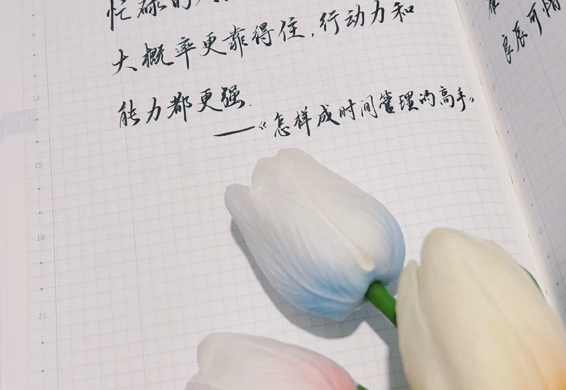 忙碌=可靠！时间管理高手的行动力让人放心！📈💼
