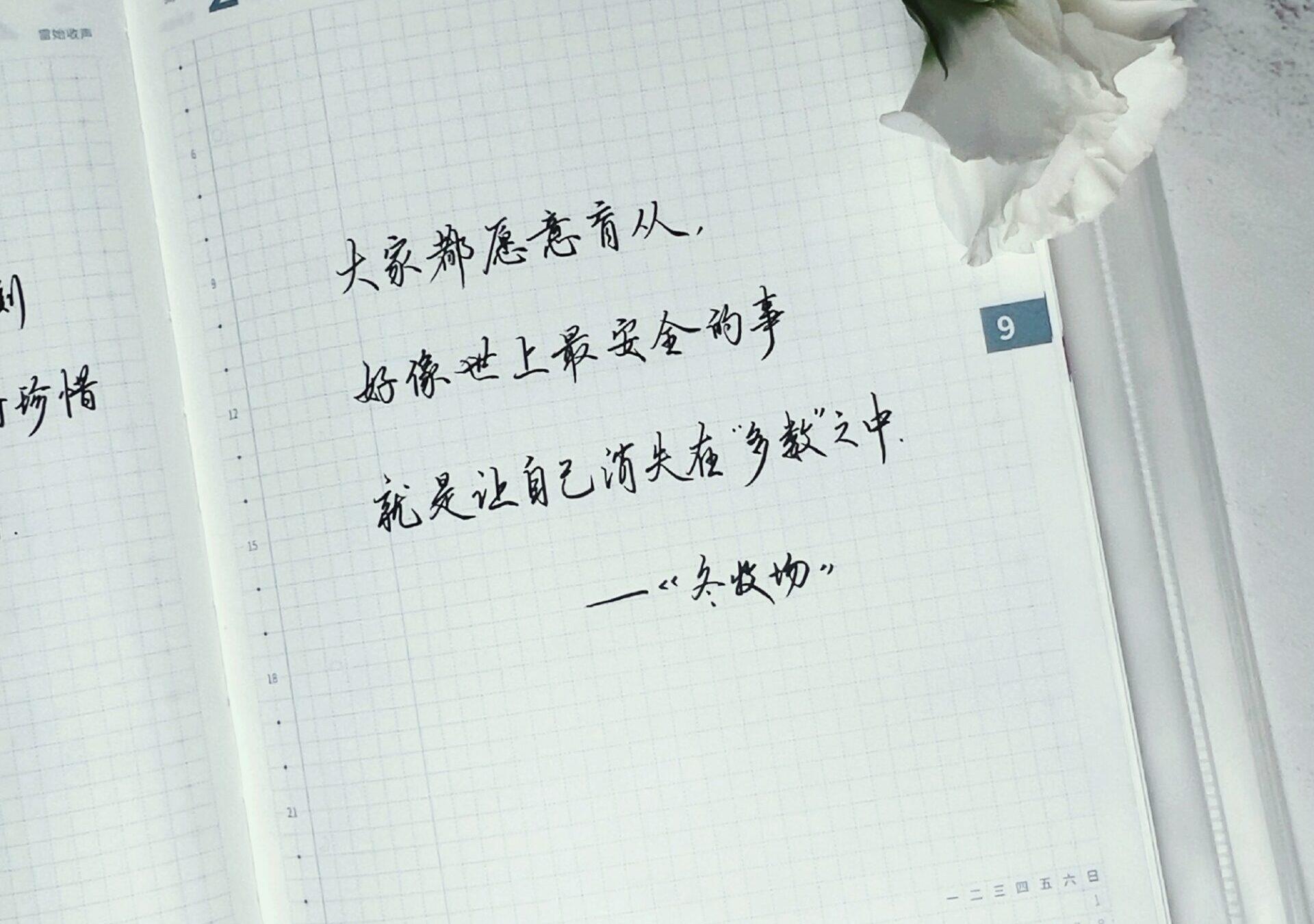 迷失在“多数”中，安全感是否值得追求？💭🌌