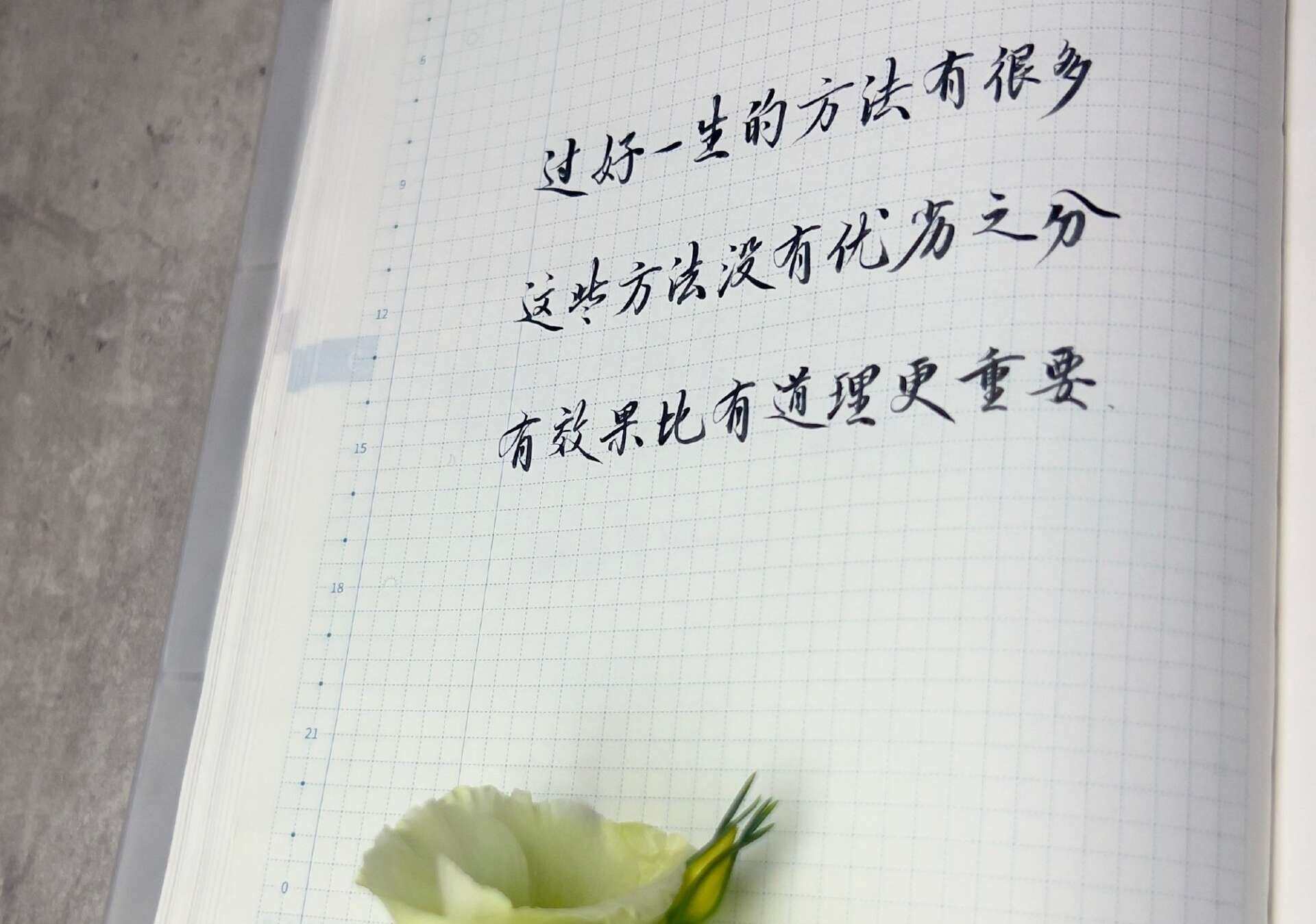 有效的生活方式，比有道理的更重要！🌈📈