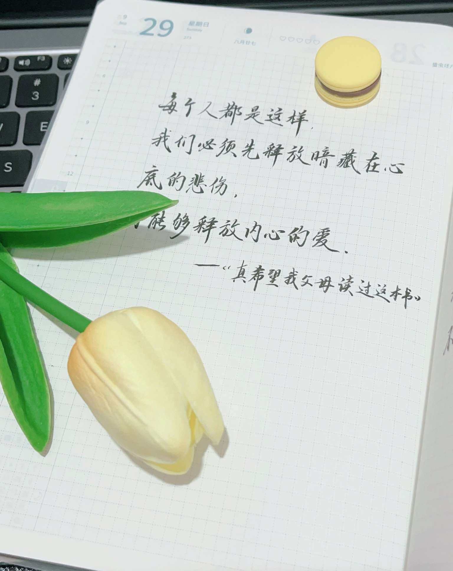 自在手帐2024年9月29日