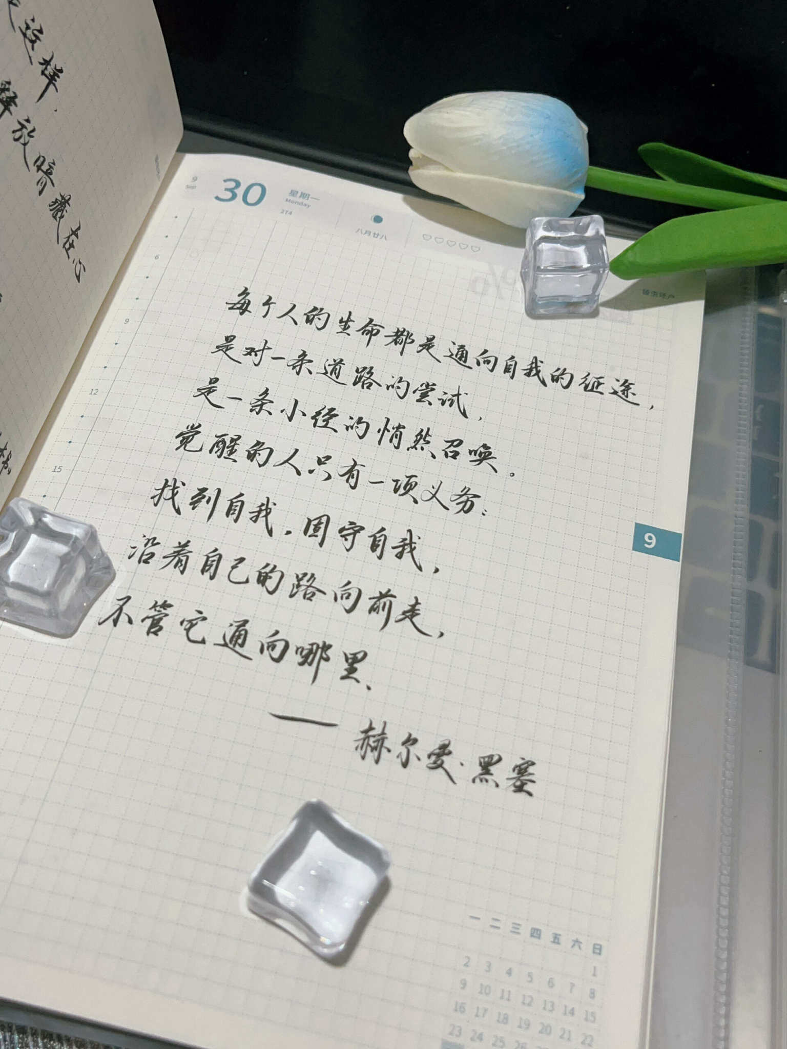 自在手帐2024年9月30日