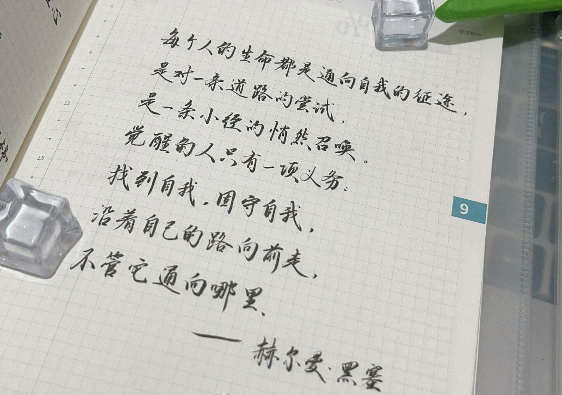 自我觉醒：坚持走自己的路