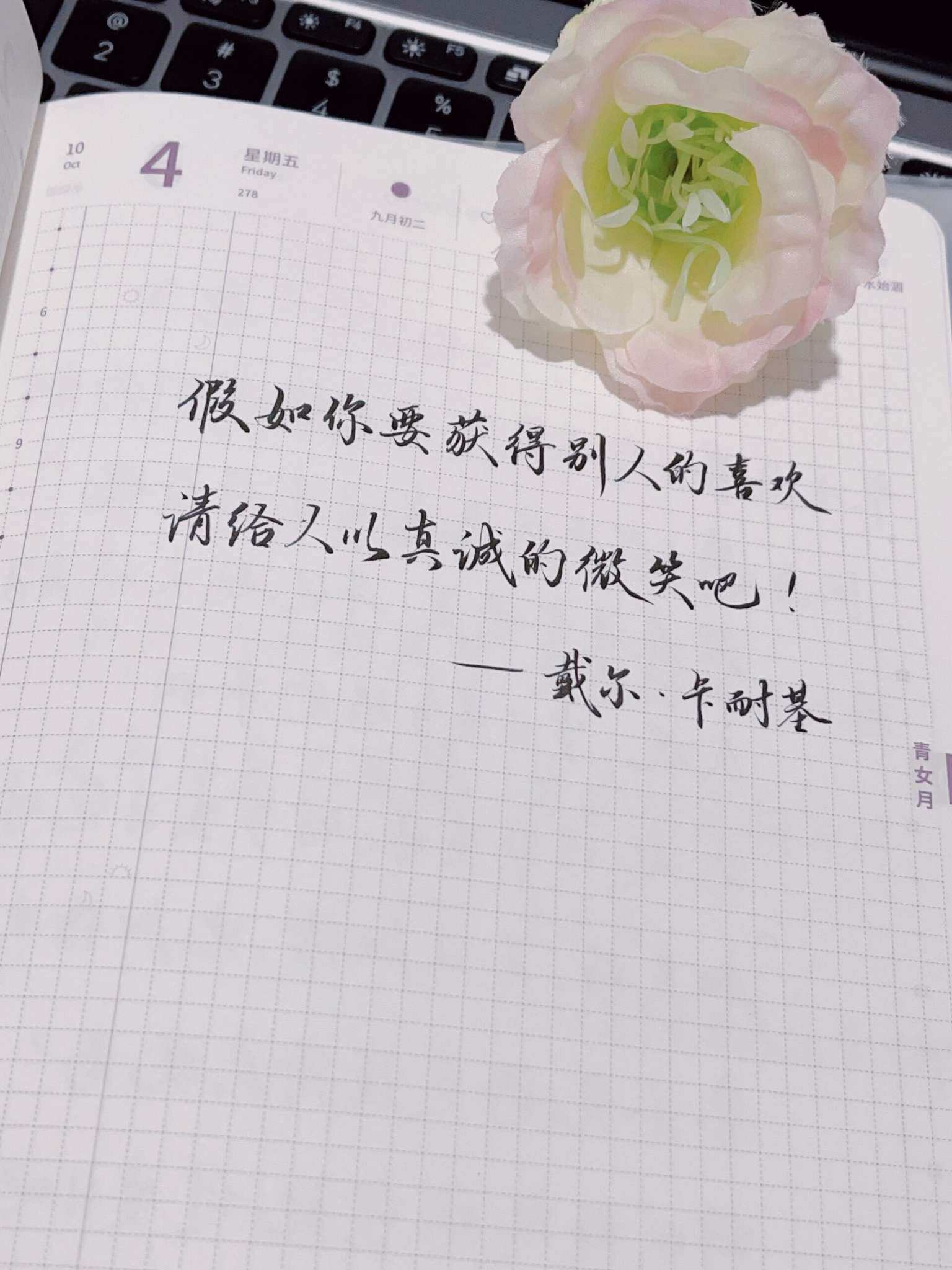 自在手帐2024年10月4日