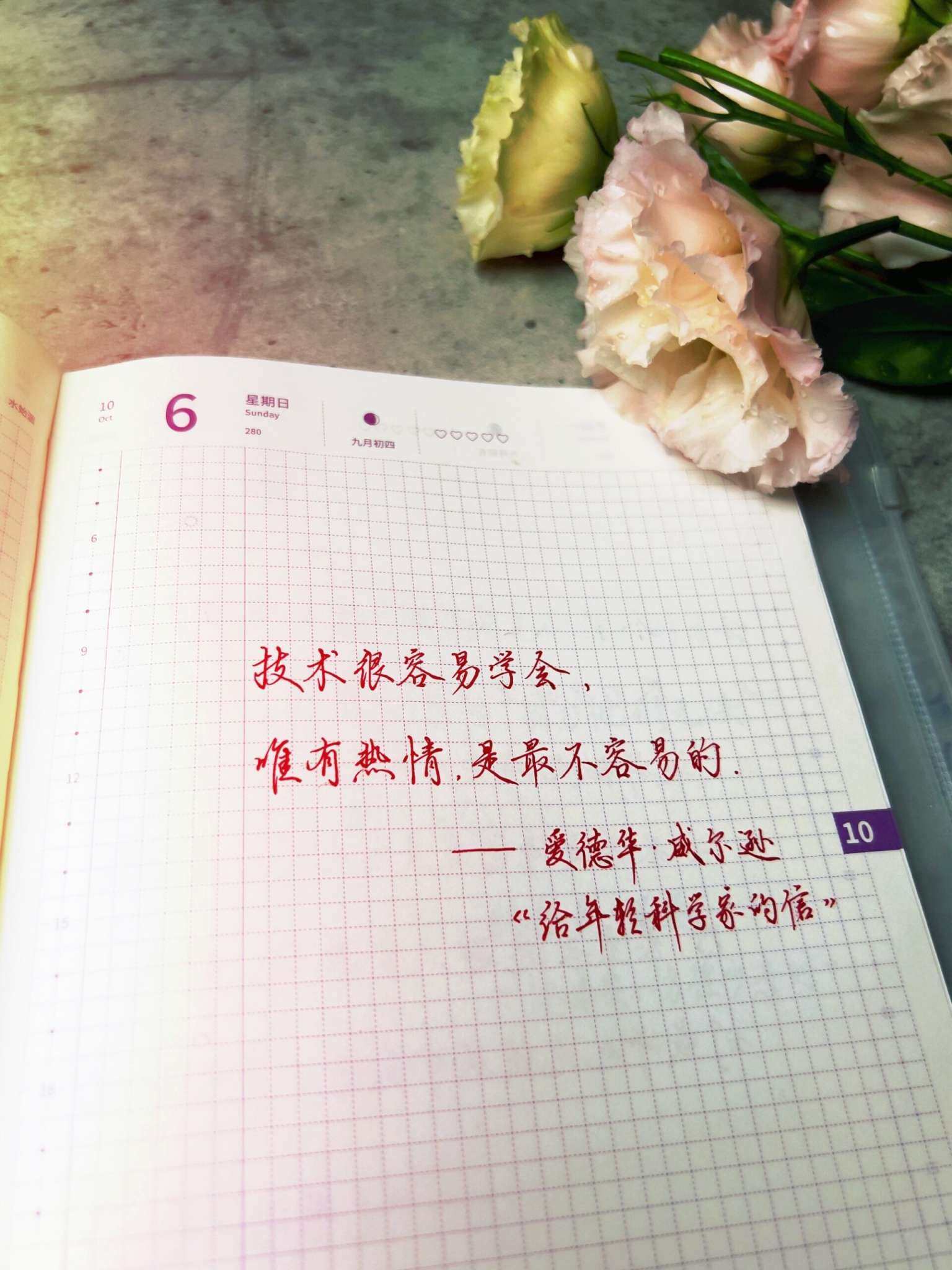 自在手帐2024年10月6日