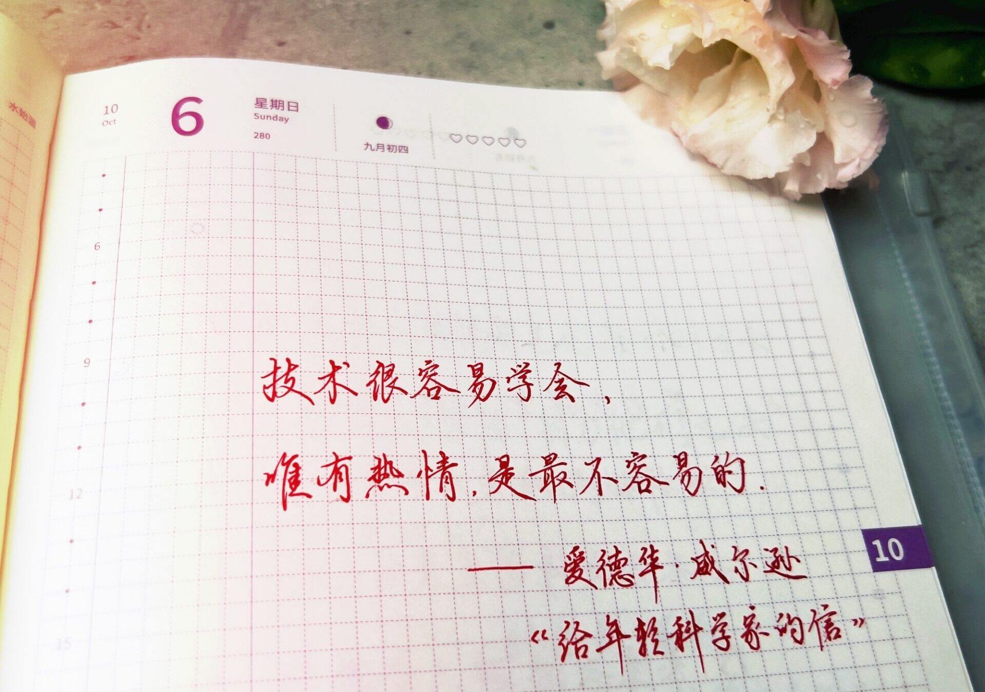 热情才是成功的秘诀，技术不过是工具！🎯🔥