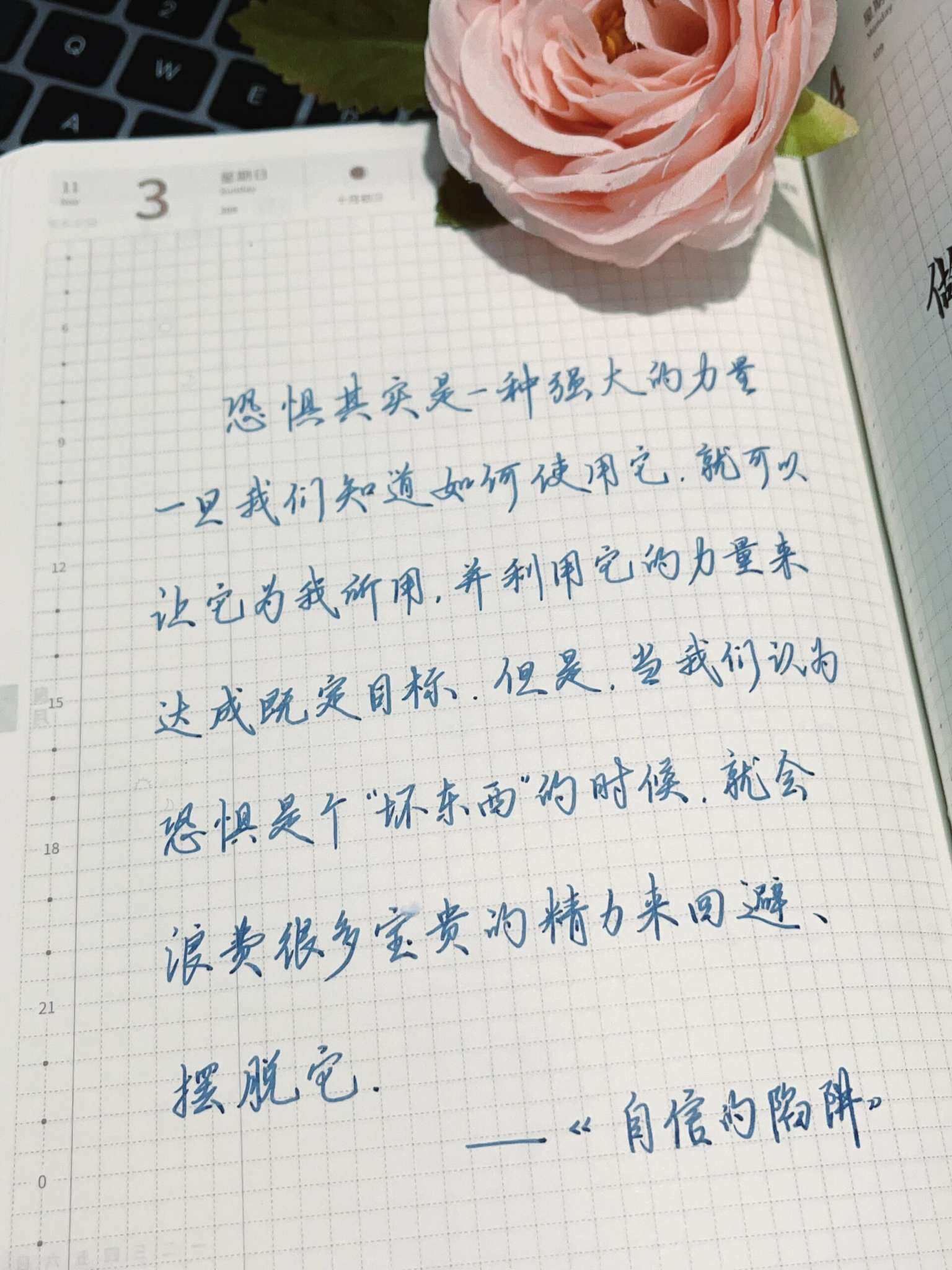 自在手帐2024年11月3日