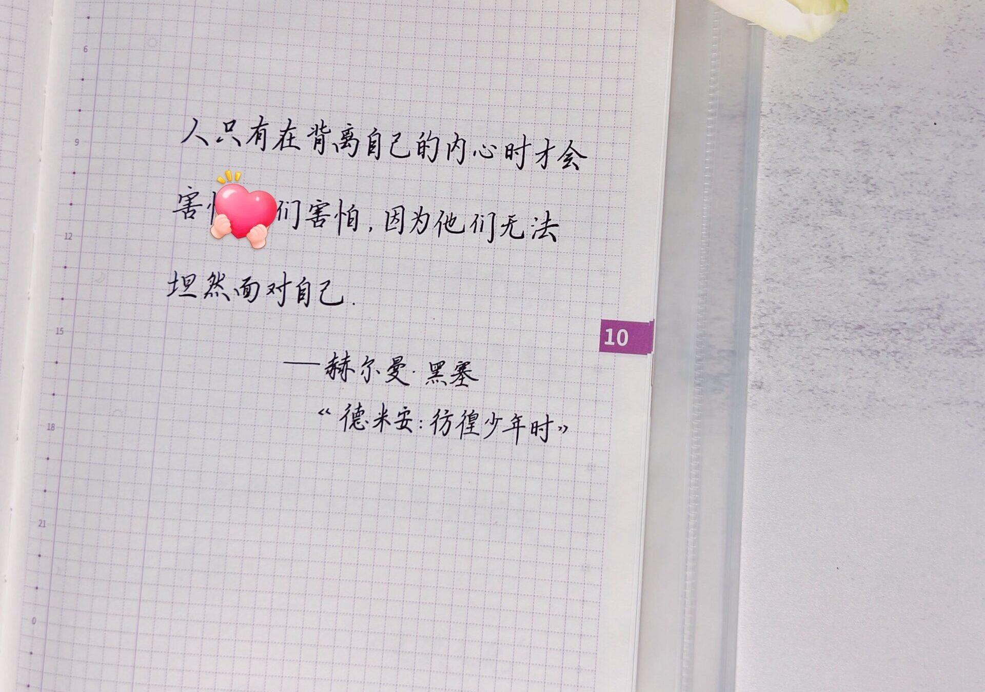 面对真实的自己，你才会发现所有的恐惧都在消散！🌙❤