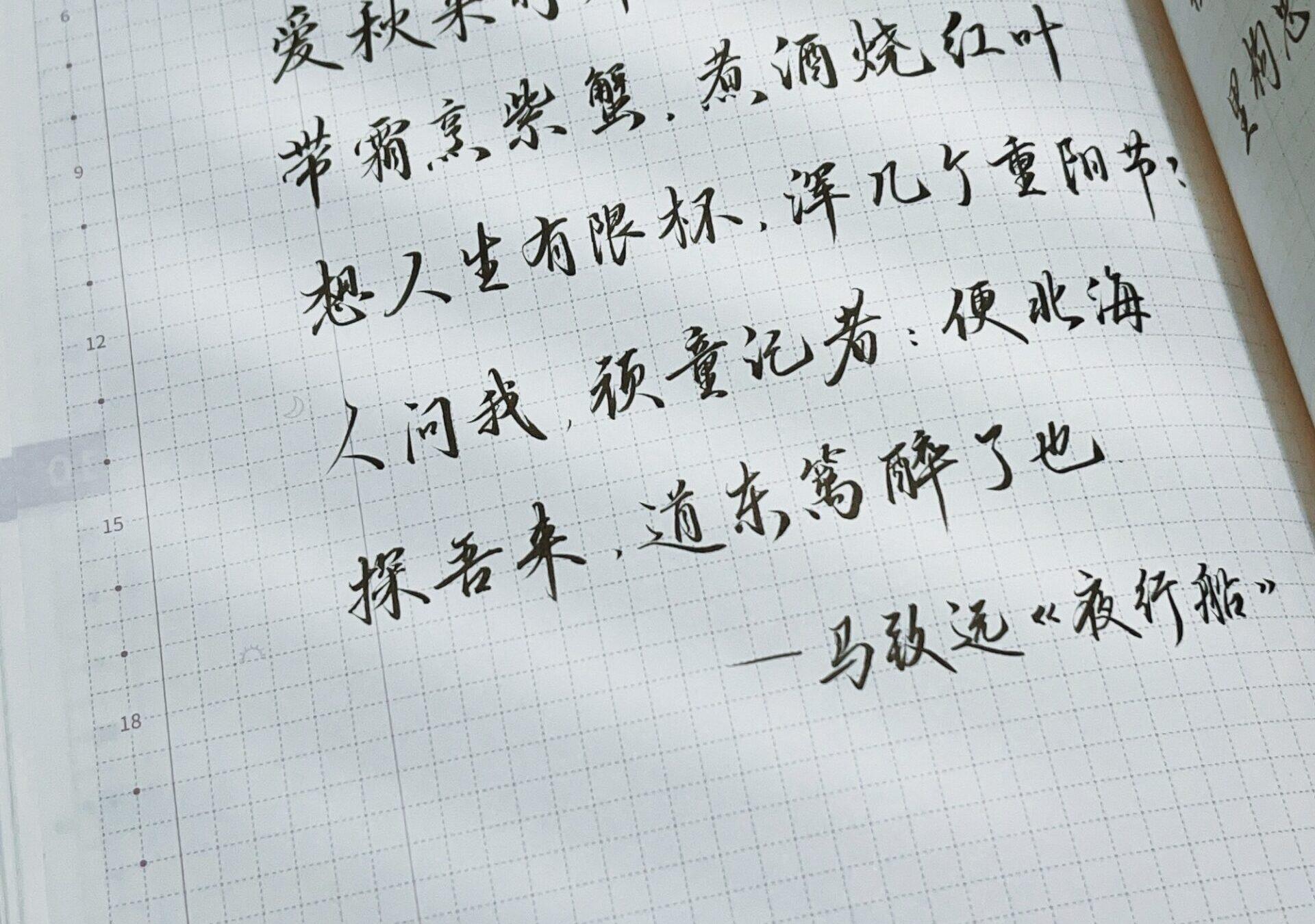 重阳佳节，黄花美酒，秋意正浓！🍂🍷