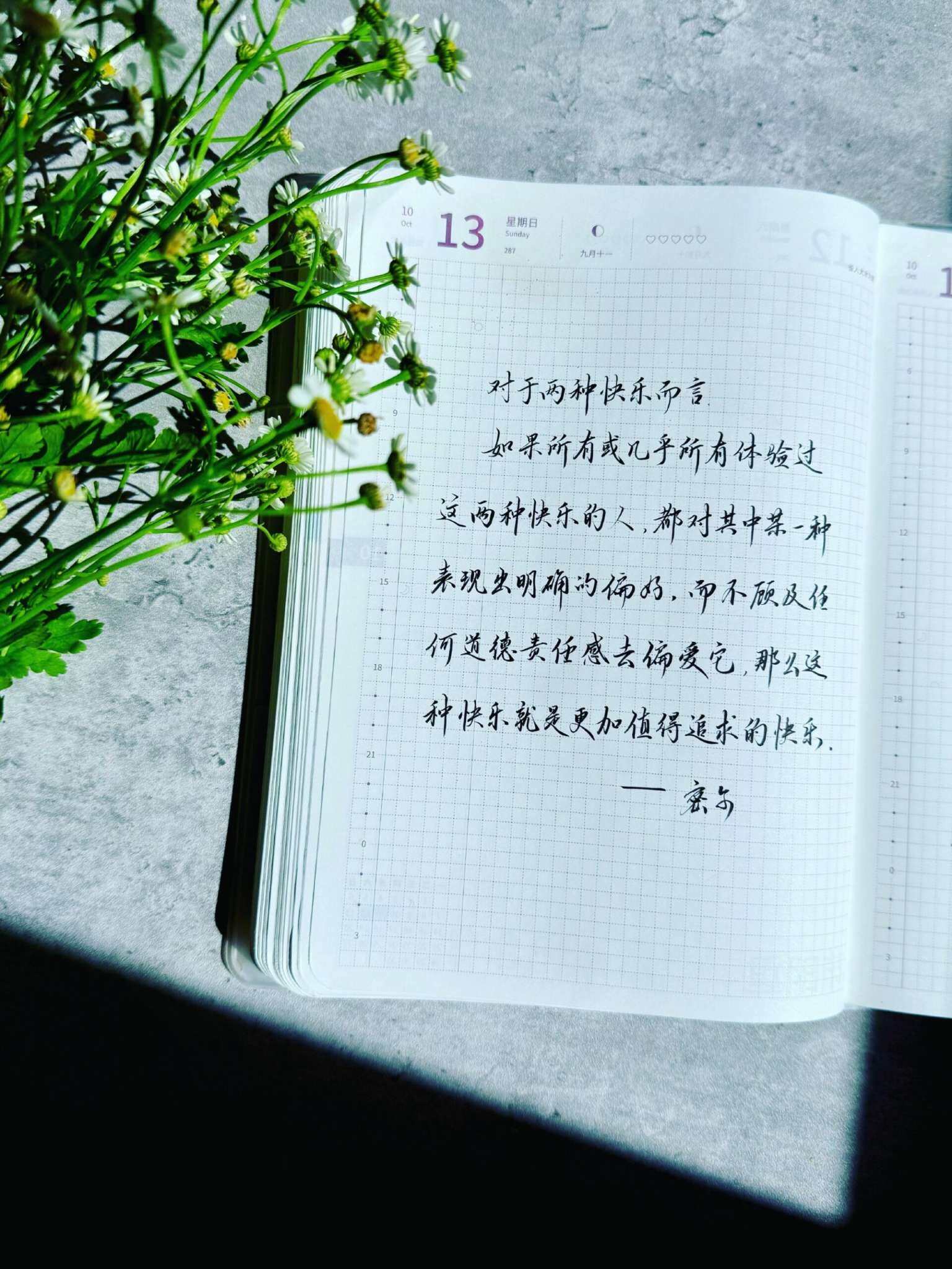 自在手帐2024年10月13日