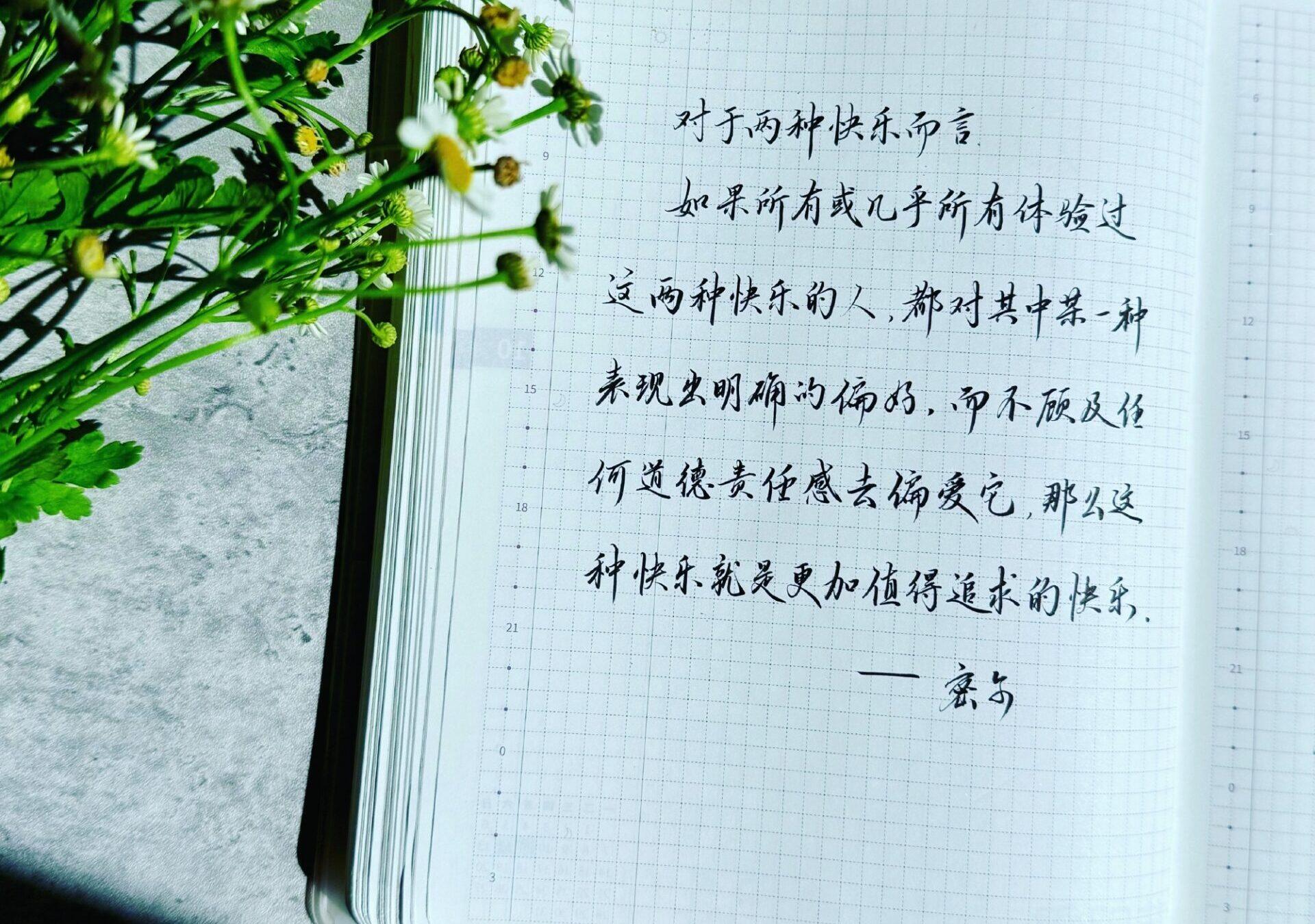 真正值得追求的快乐，是体验者心之所向！✨🚀