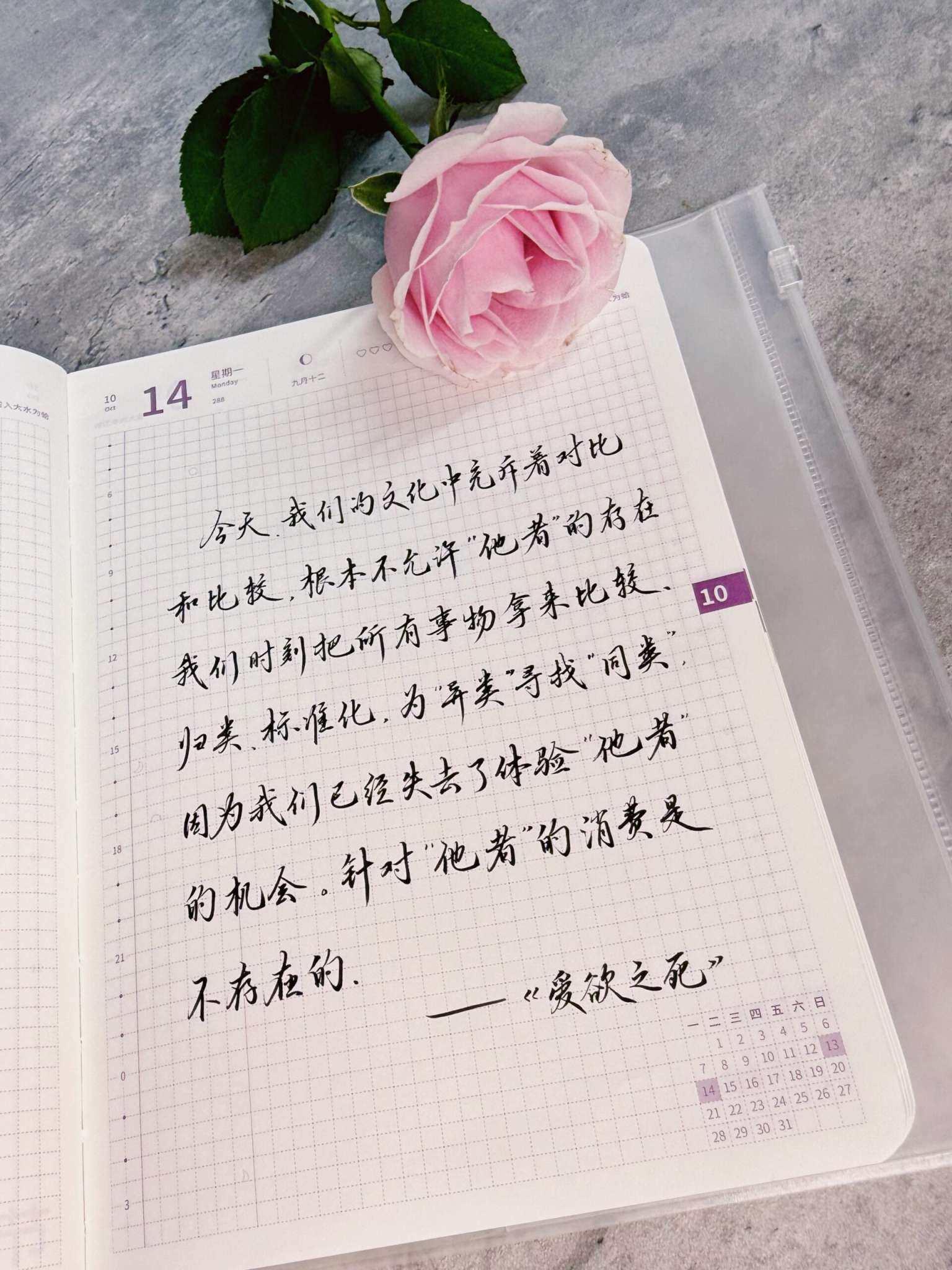 自在手帐2024年10月14日