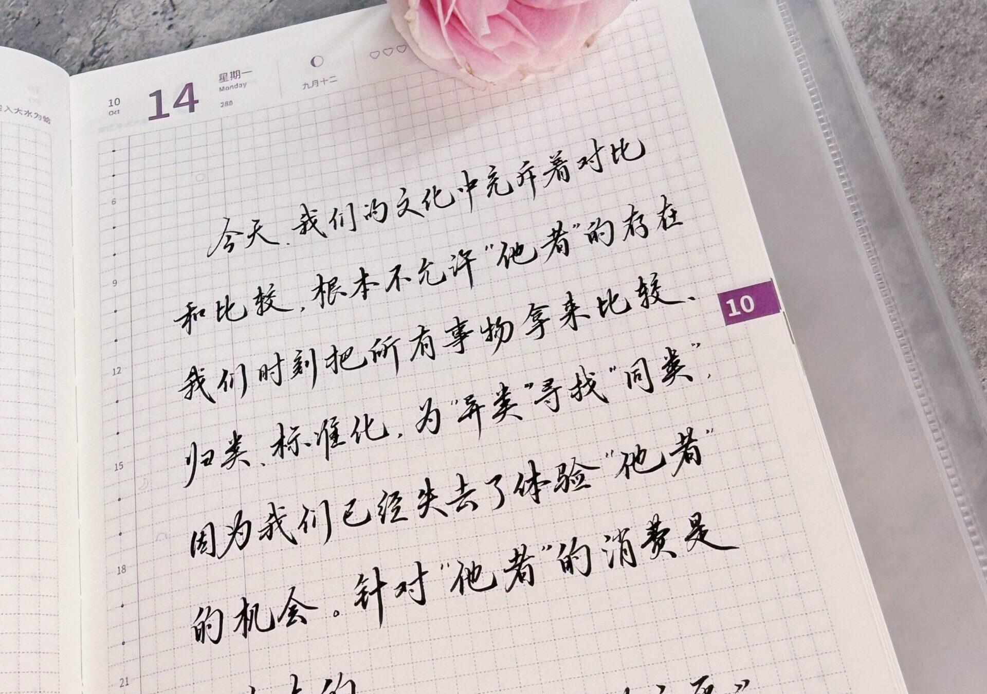 当异类都被归类，我们失去了体验“他者”的世界！🌌🚪