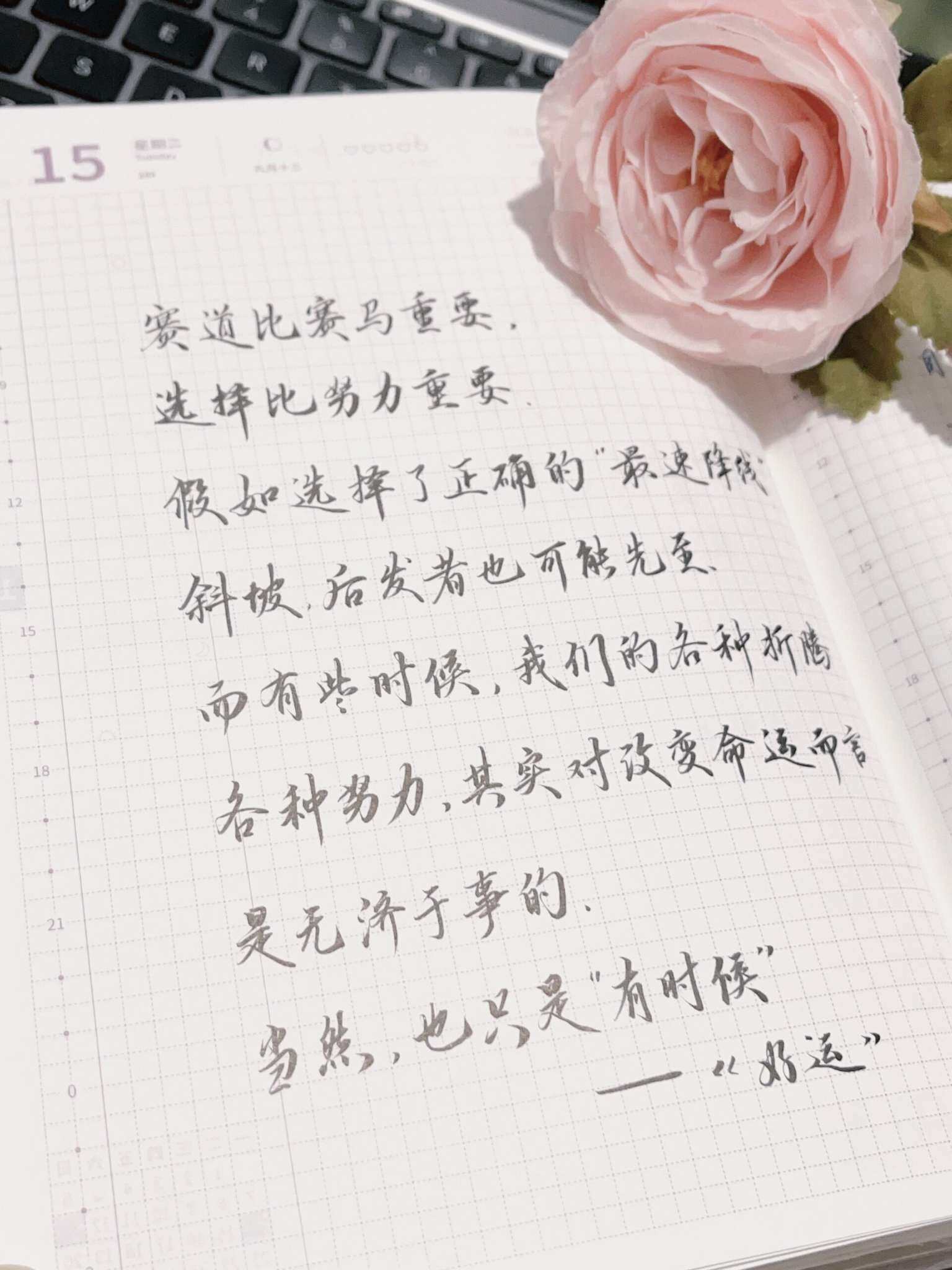 自在手帐2024年10月15日
