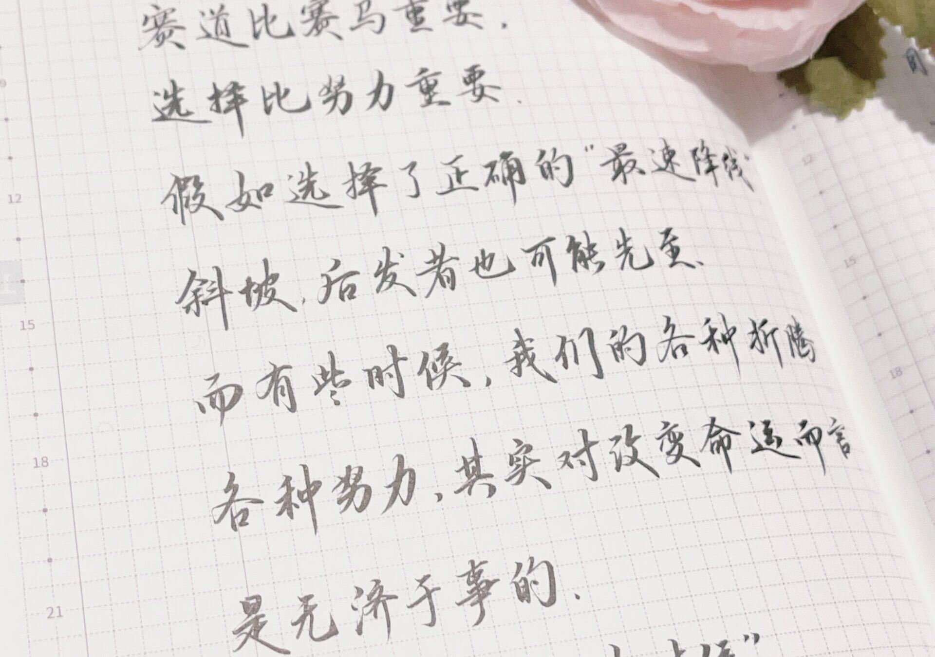 努力虽重要，但选对赛道，才能更快通向成功！💪🌟