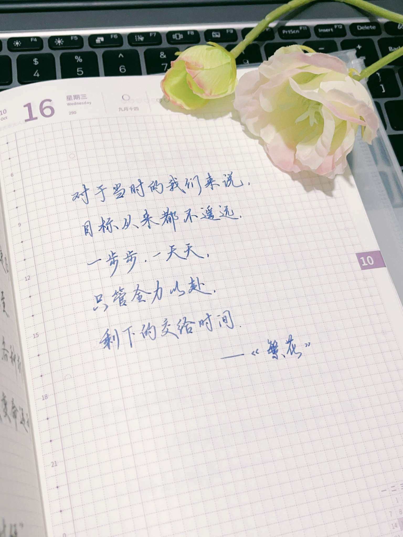 自在手帐2024年10月16日