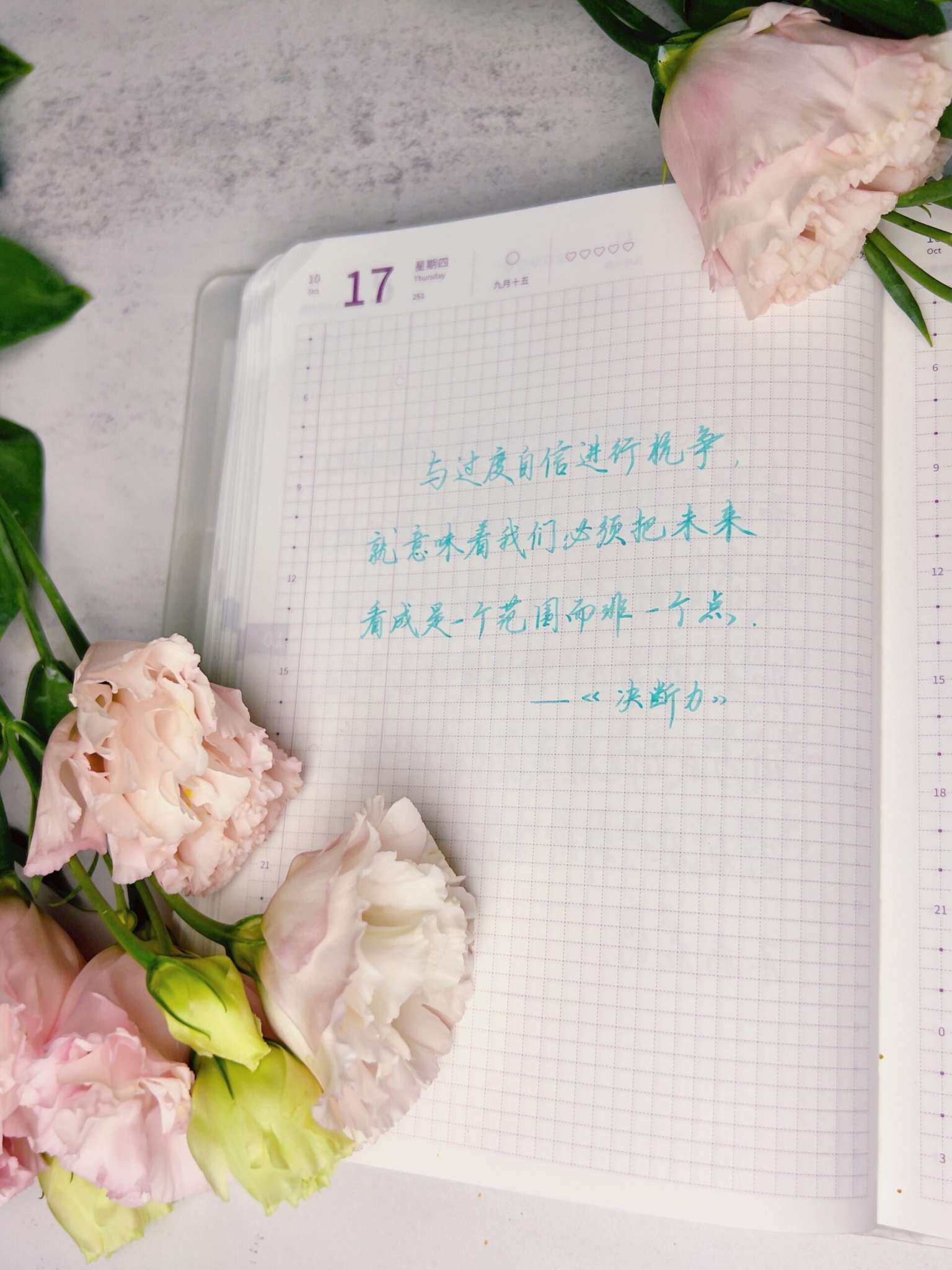 自在手帐2024年10月17日