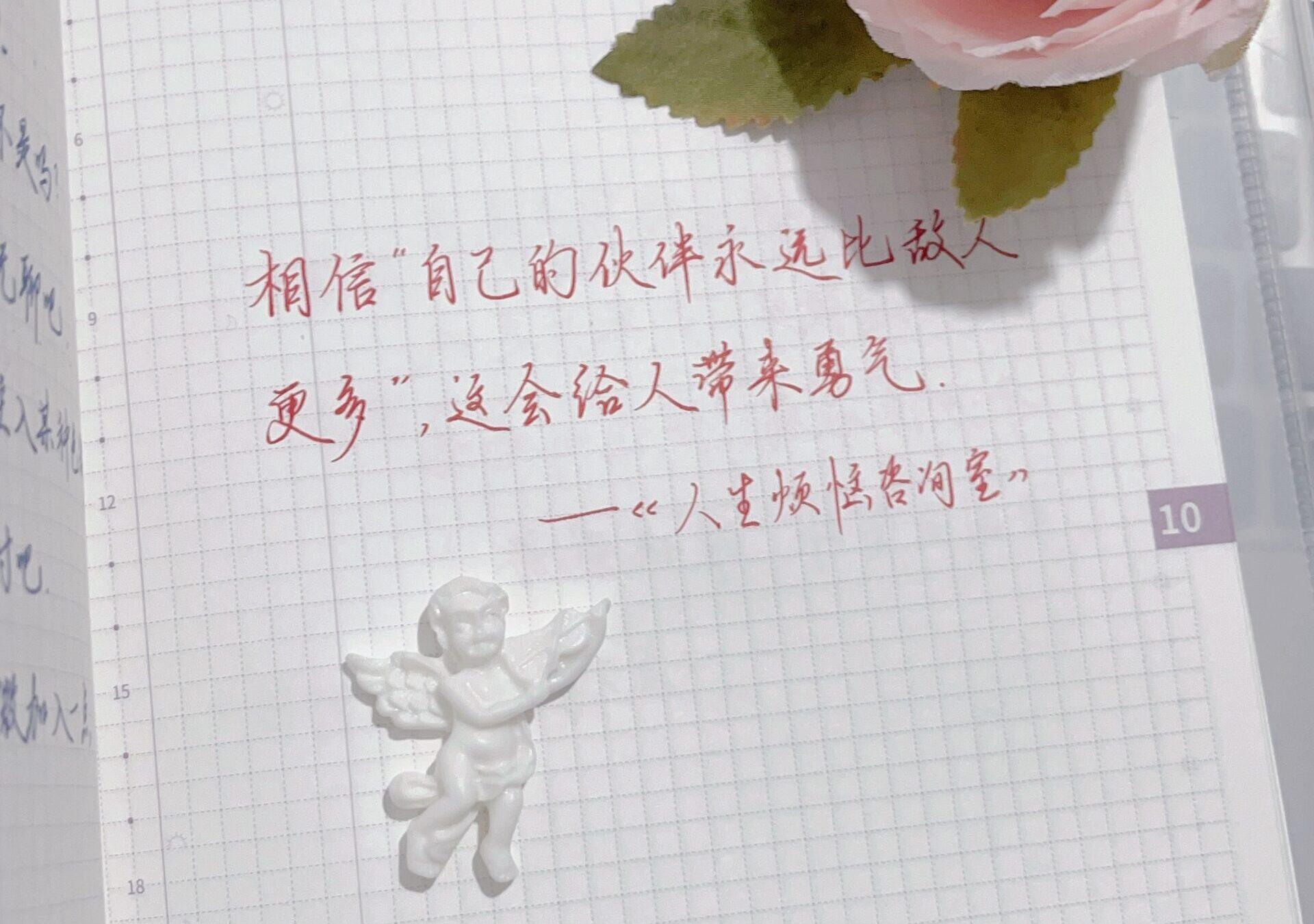 伙伴多于敌人！让这份信念化作你前行的勇气！🌈