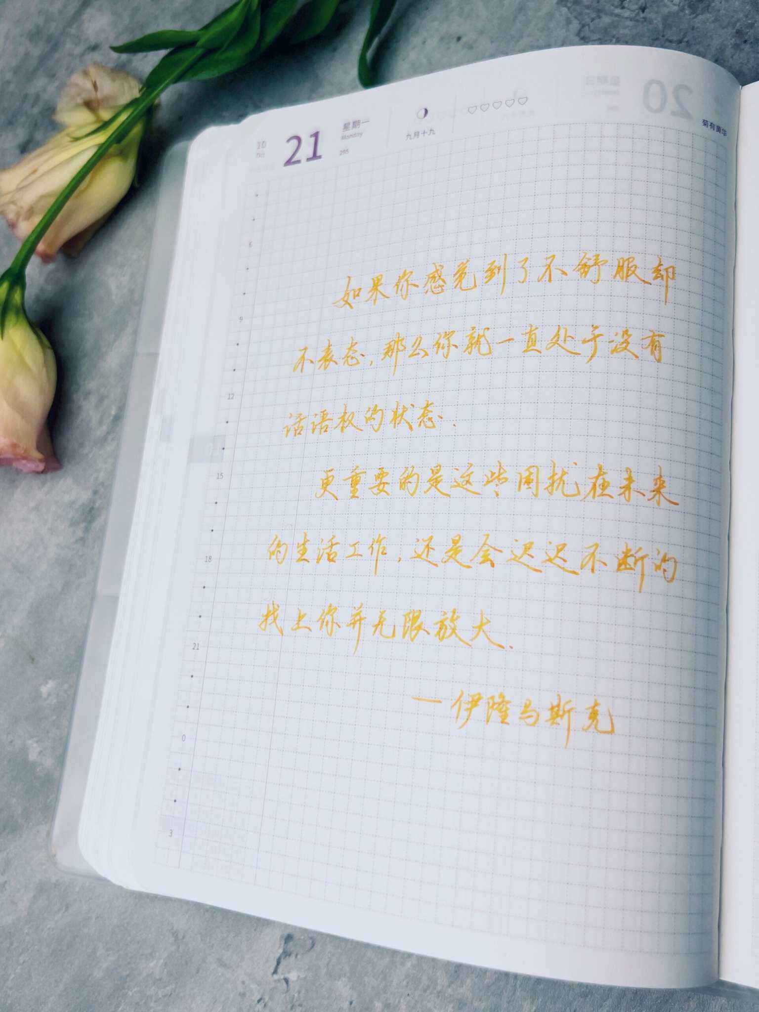 自在手帐2024年10月21日