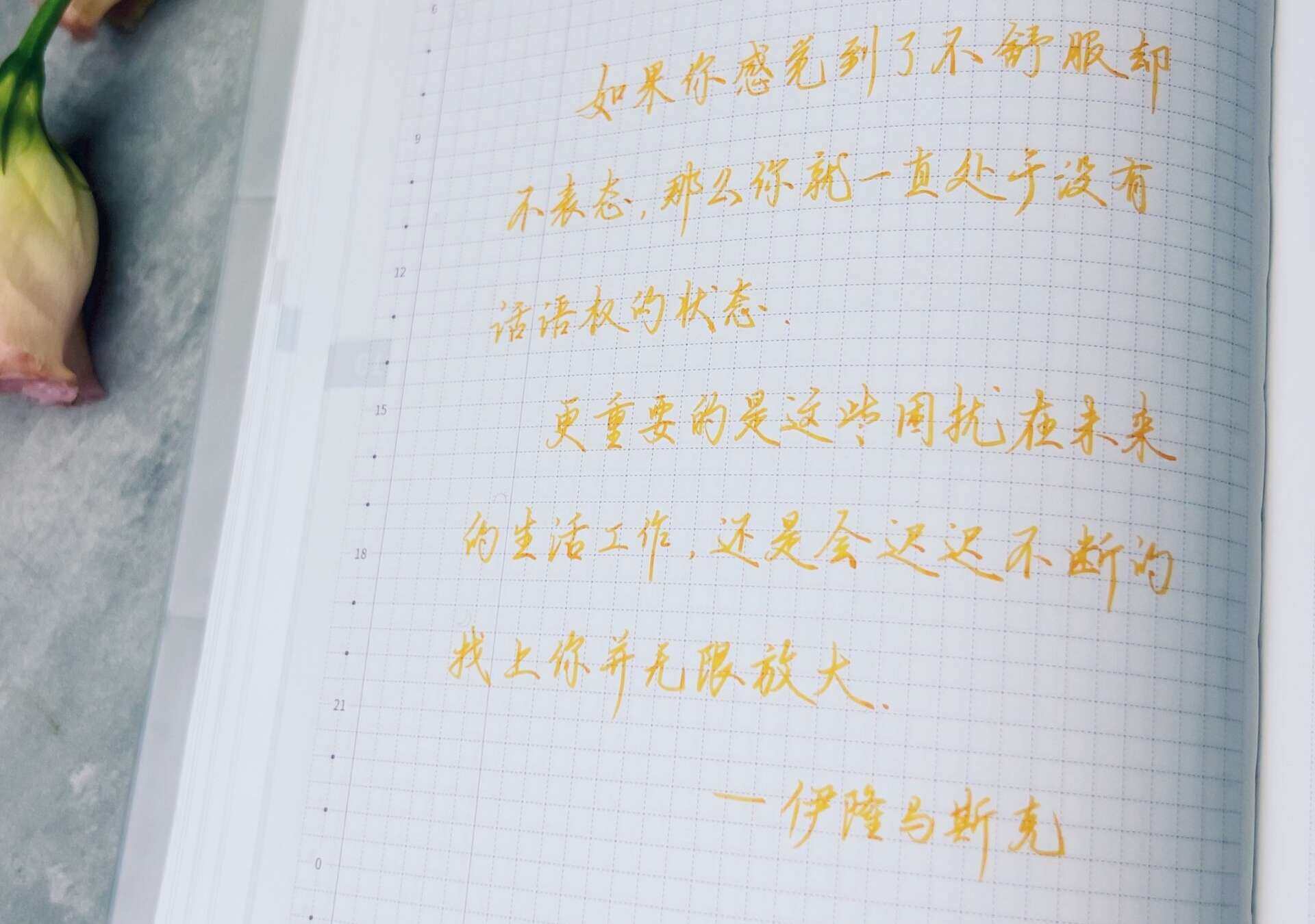 自在手帐2024年10月21日