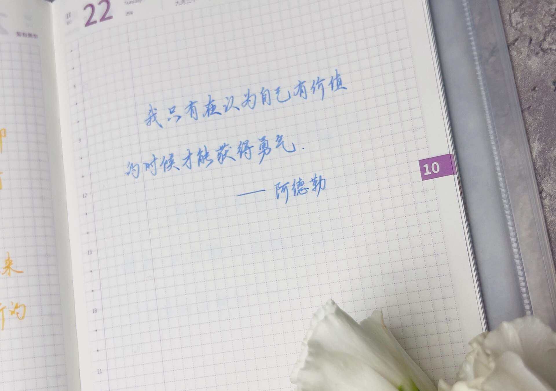 自在手帐2024年10月22日