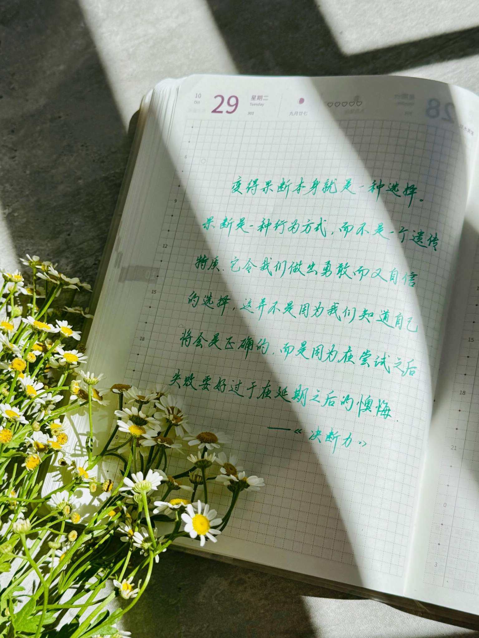 自在手帐2024年10月29日