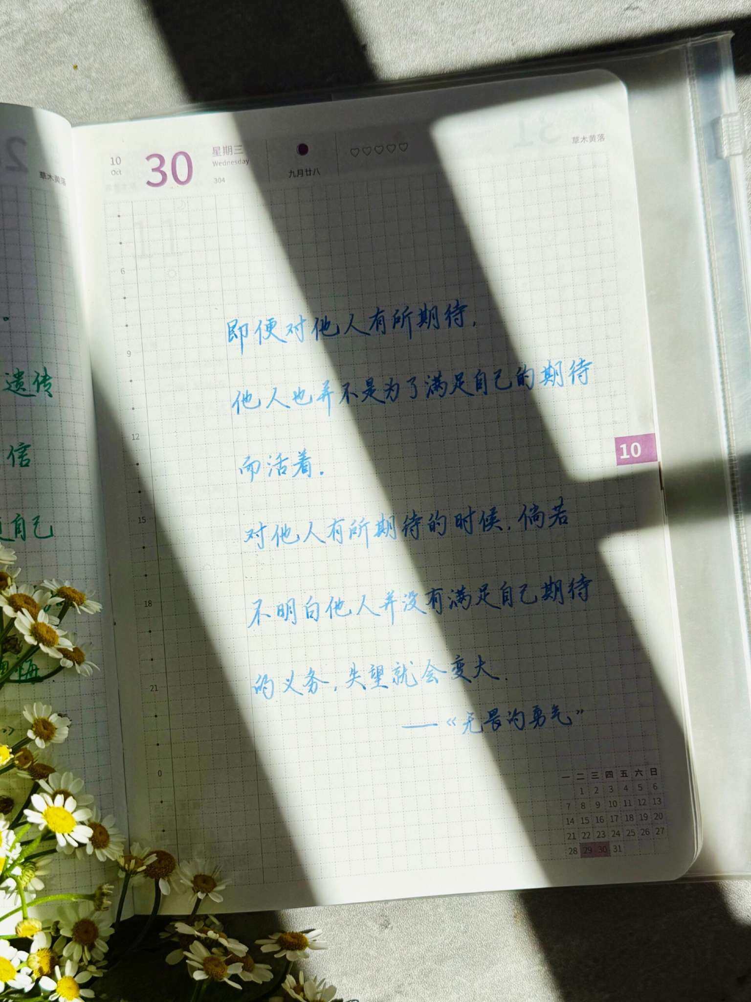 自在手帐2024年10月30日