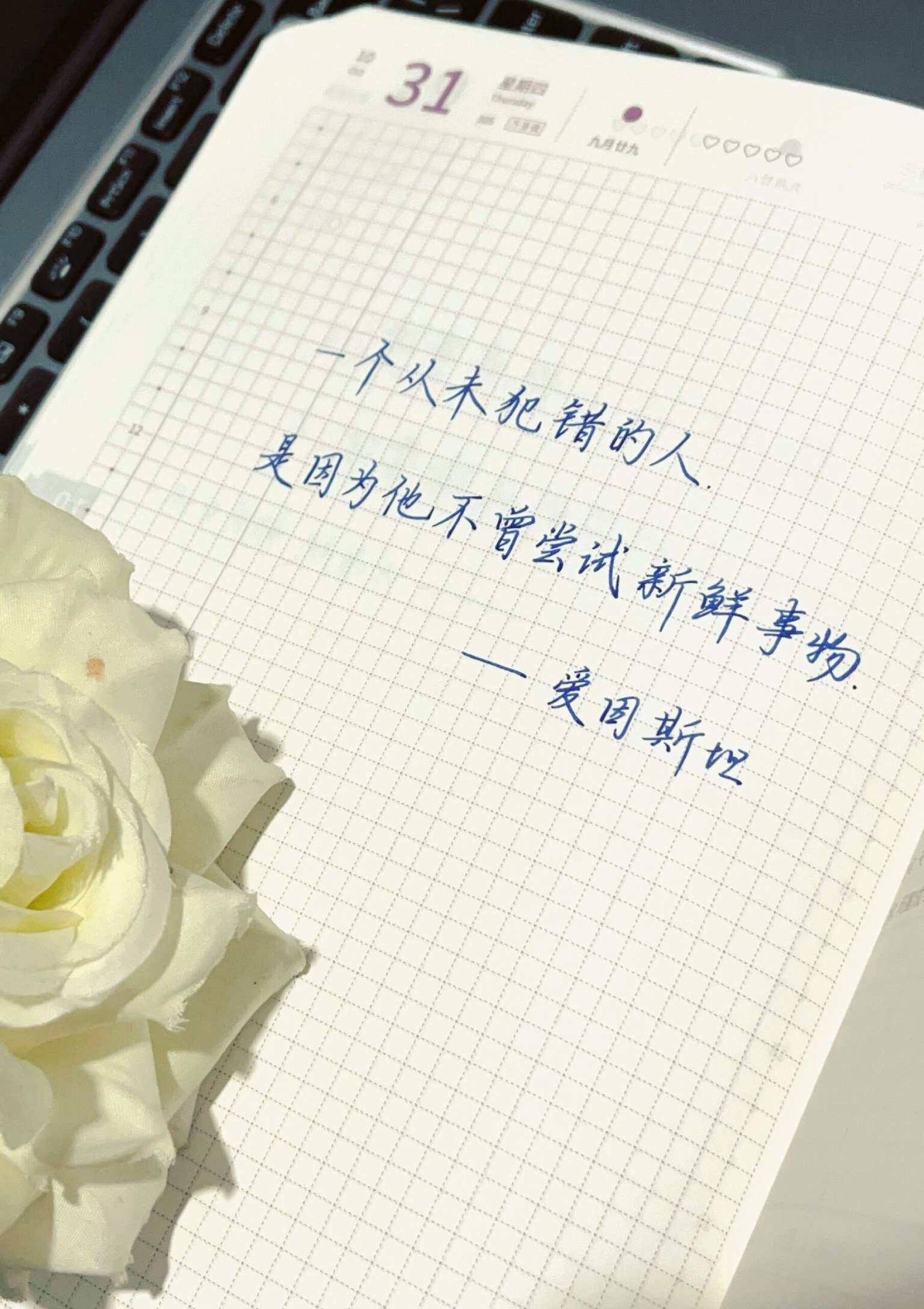自在手帐2024年10月31日