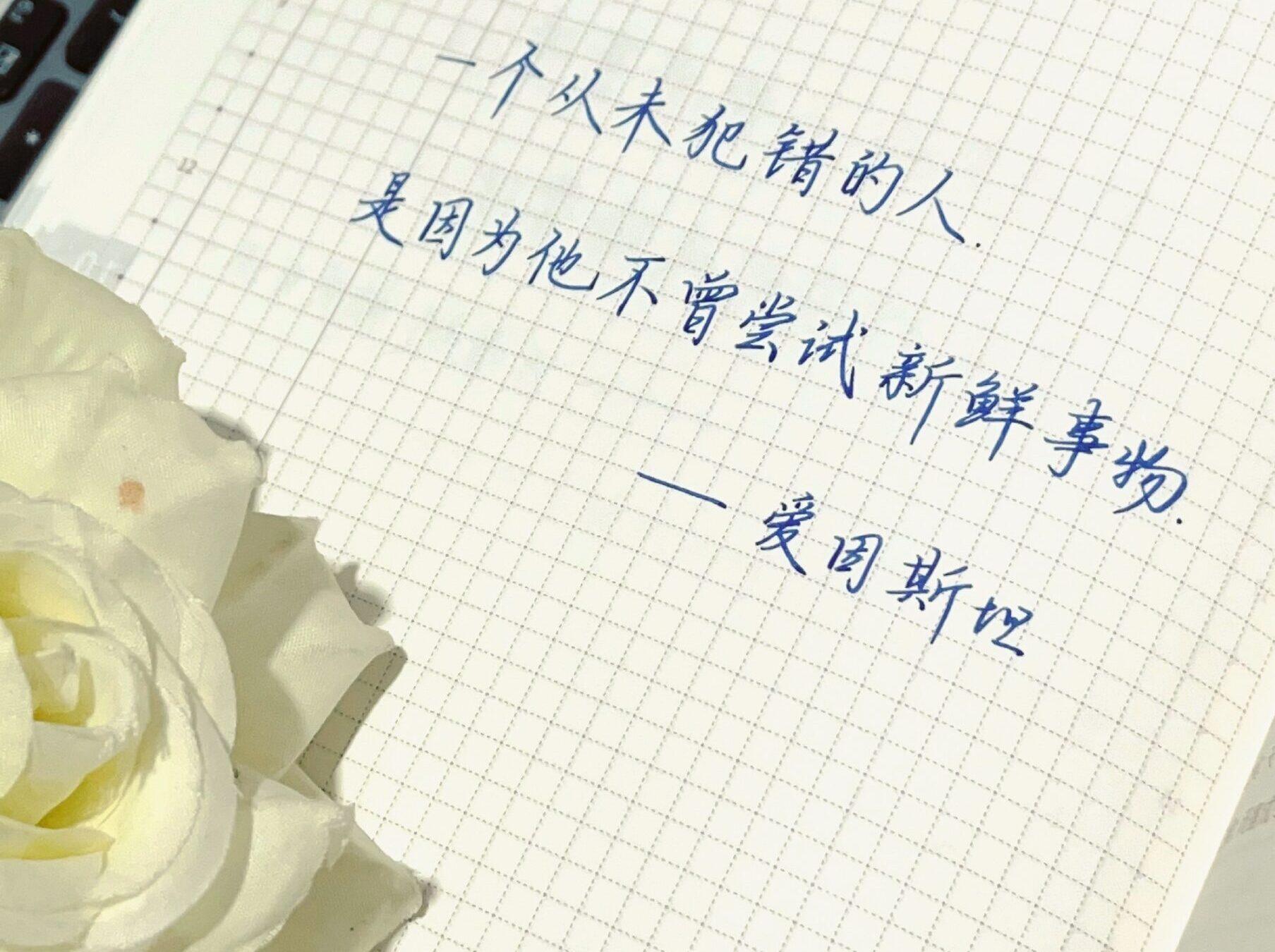 不要怕犯错，错过尝试才是真正的遗憾！✨🚶‍♂