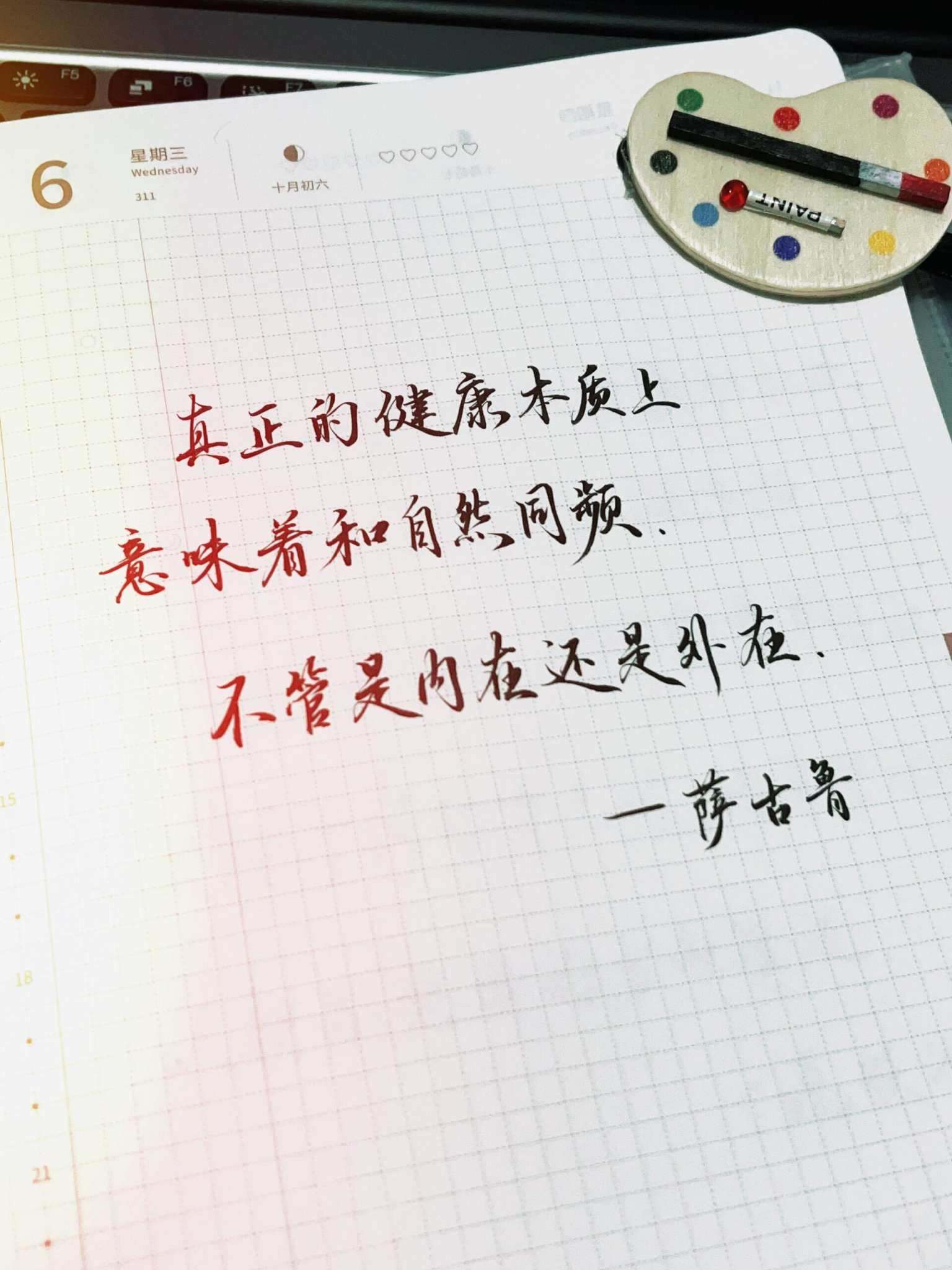自在手帐2024年11月6日