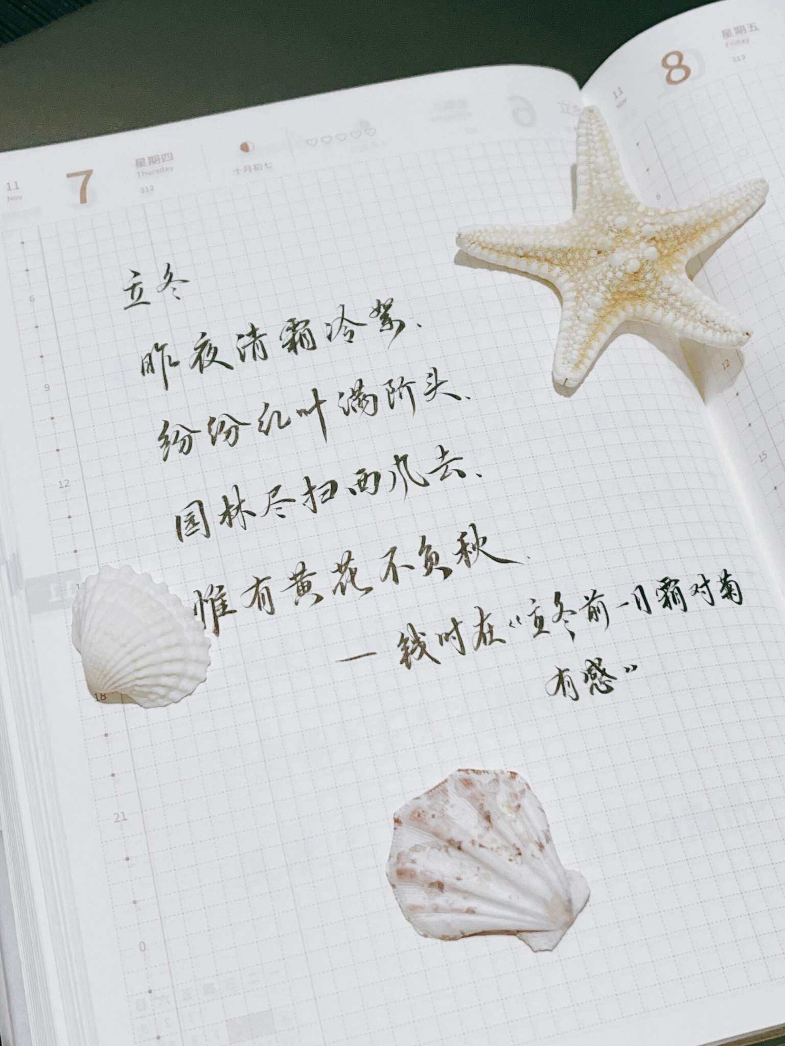 自在手帐2024年11月7日