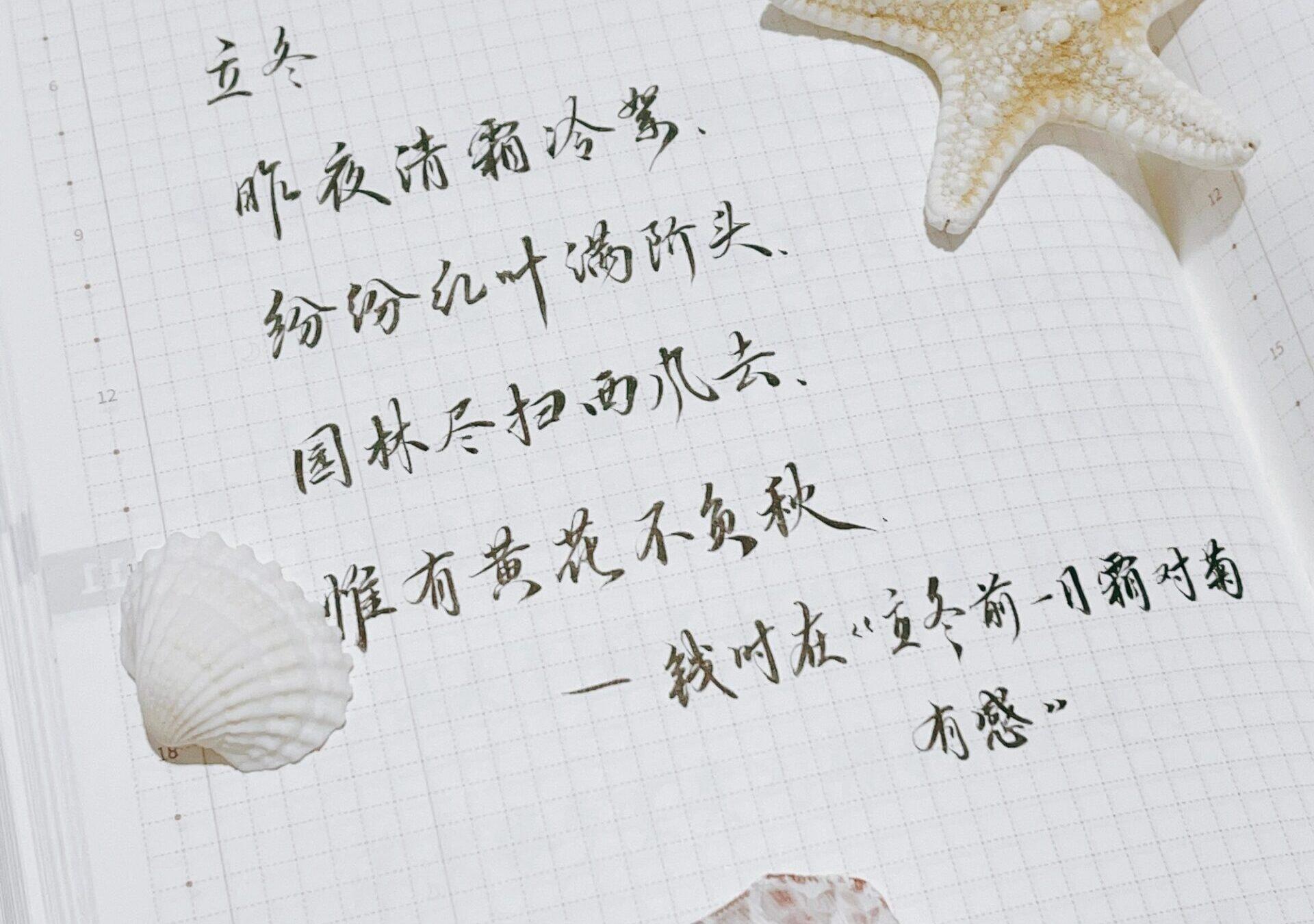 立冬|二十四节气|甲辰年