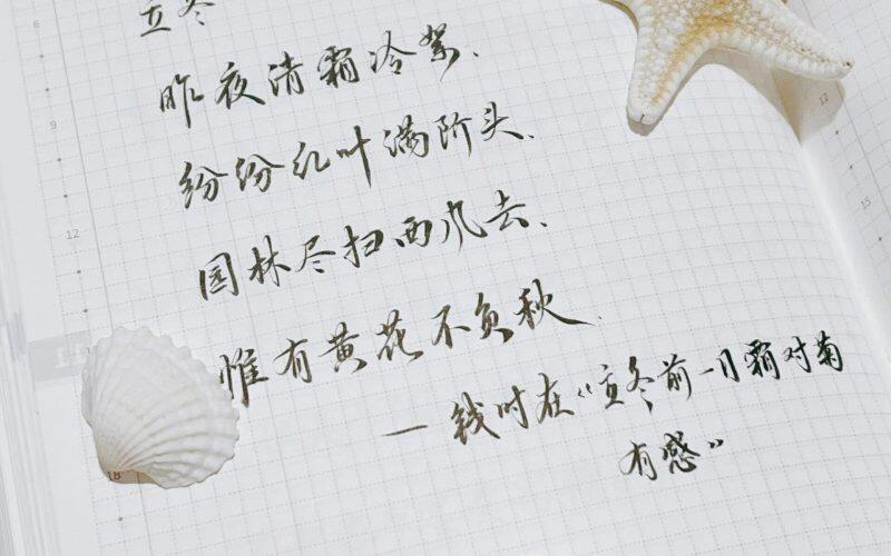 立冬|二十四节气|甲辰年