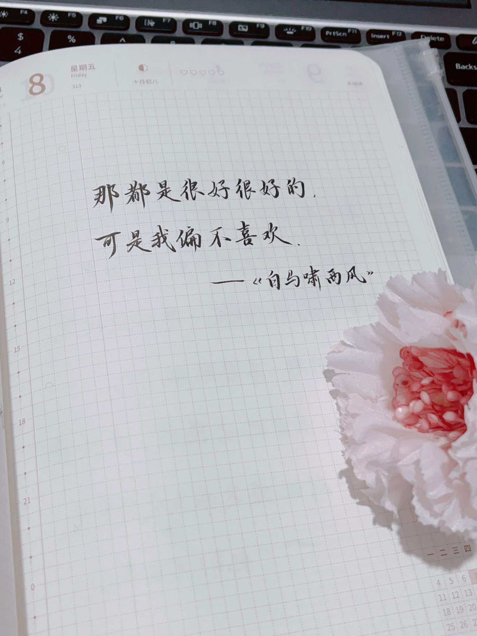 自在手帐2024年11月8日