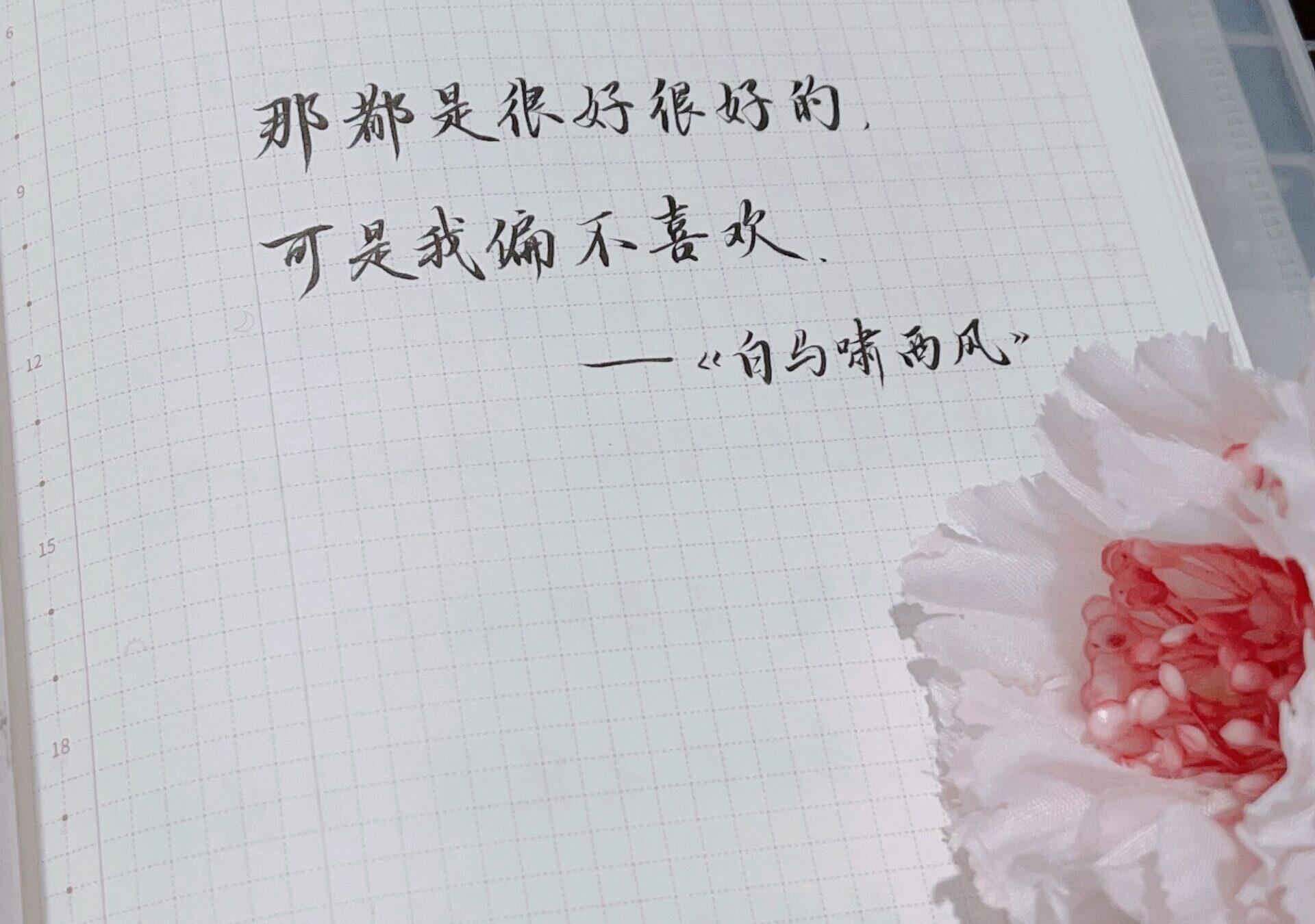 那些很好很好的事，却偏偏无法触动我的心！🌻🙅‍♀